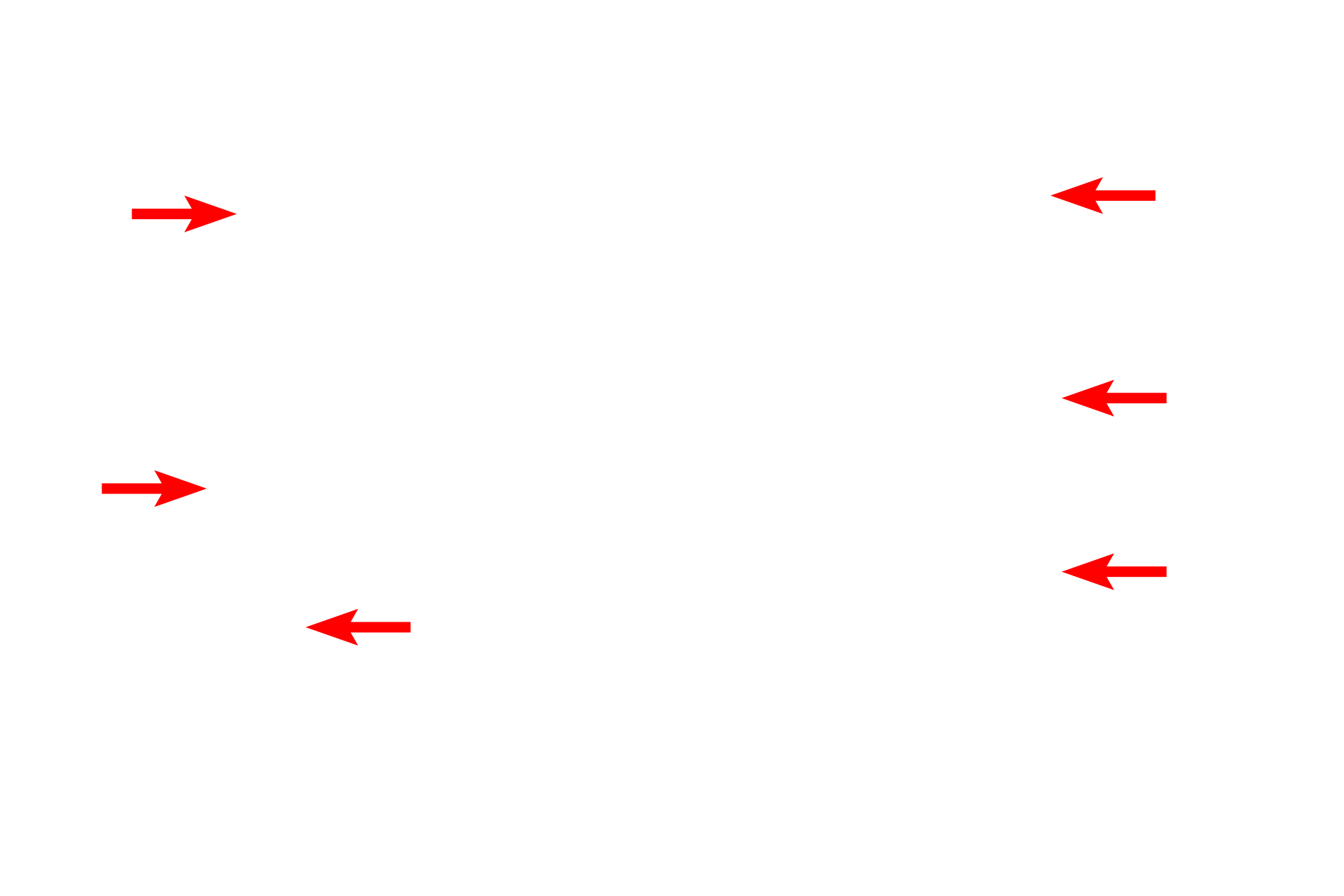 Lenses > <p>The electron microscope uses a set of cylindrical, electromagnetic lenses that are arranged in an analogous fashion to the glass lenses of the light microscope.  </p>
