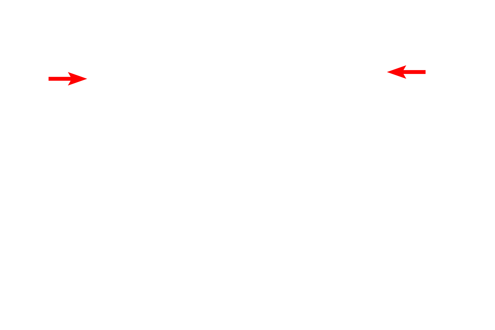  - Condenser lens > <p>The condenser lens focuses the electrons into a beam after they are emitted from the filament.</p>
