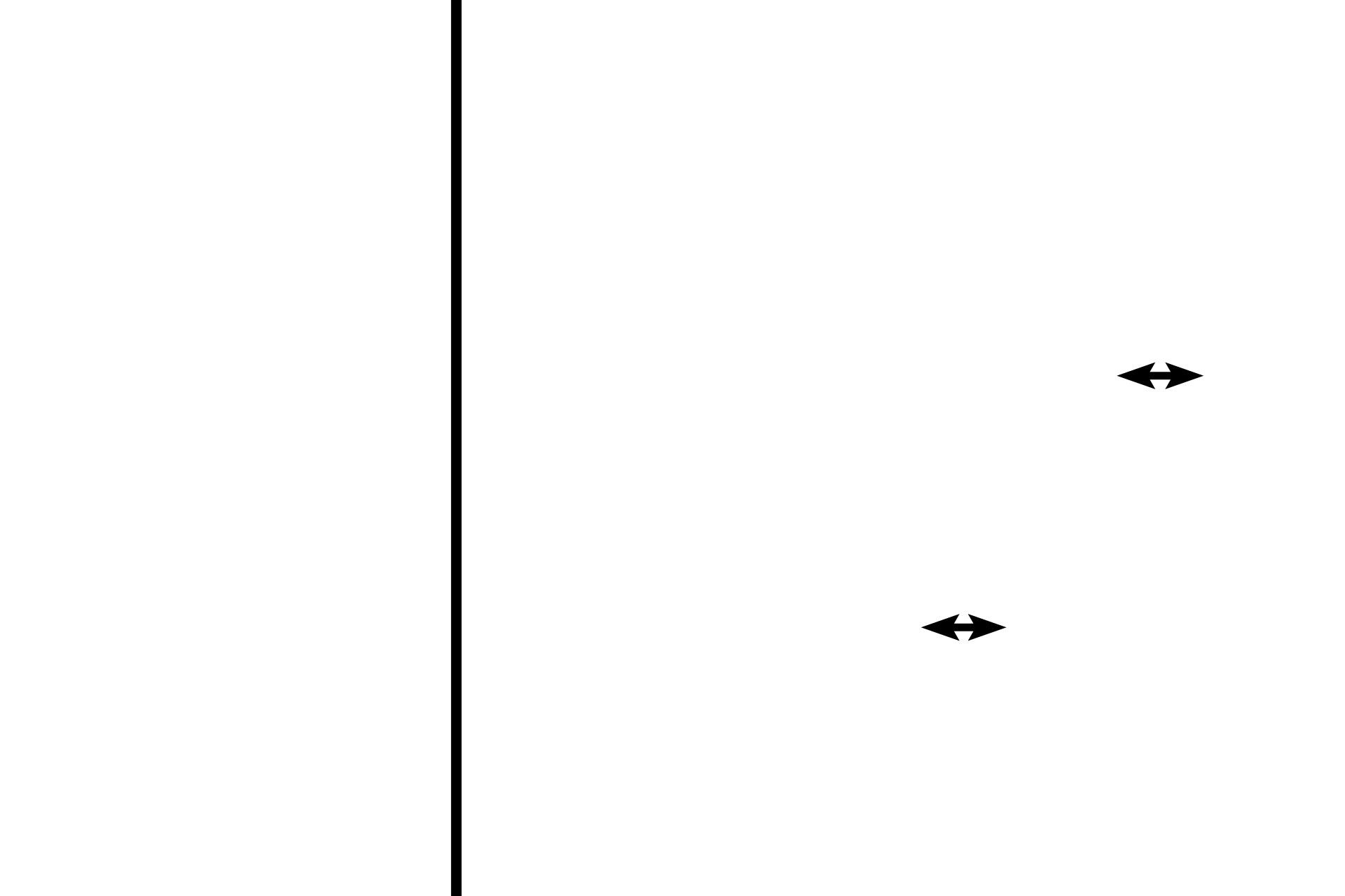 Longitudinal sections > <p>Longitudinal sections pass in a plane that is parallel to the long axis of a structure. Examples of skeletal muscle fibers cut in longitudinal section are indicated.</p>
