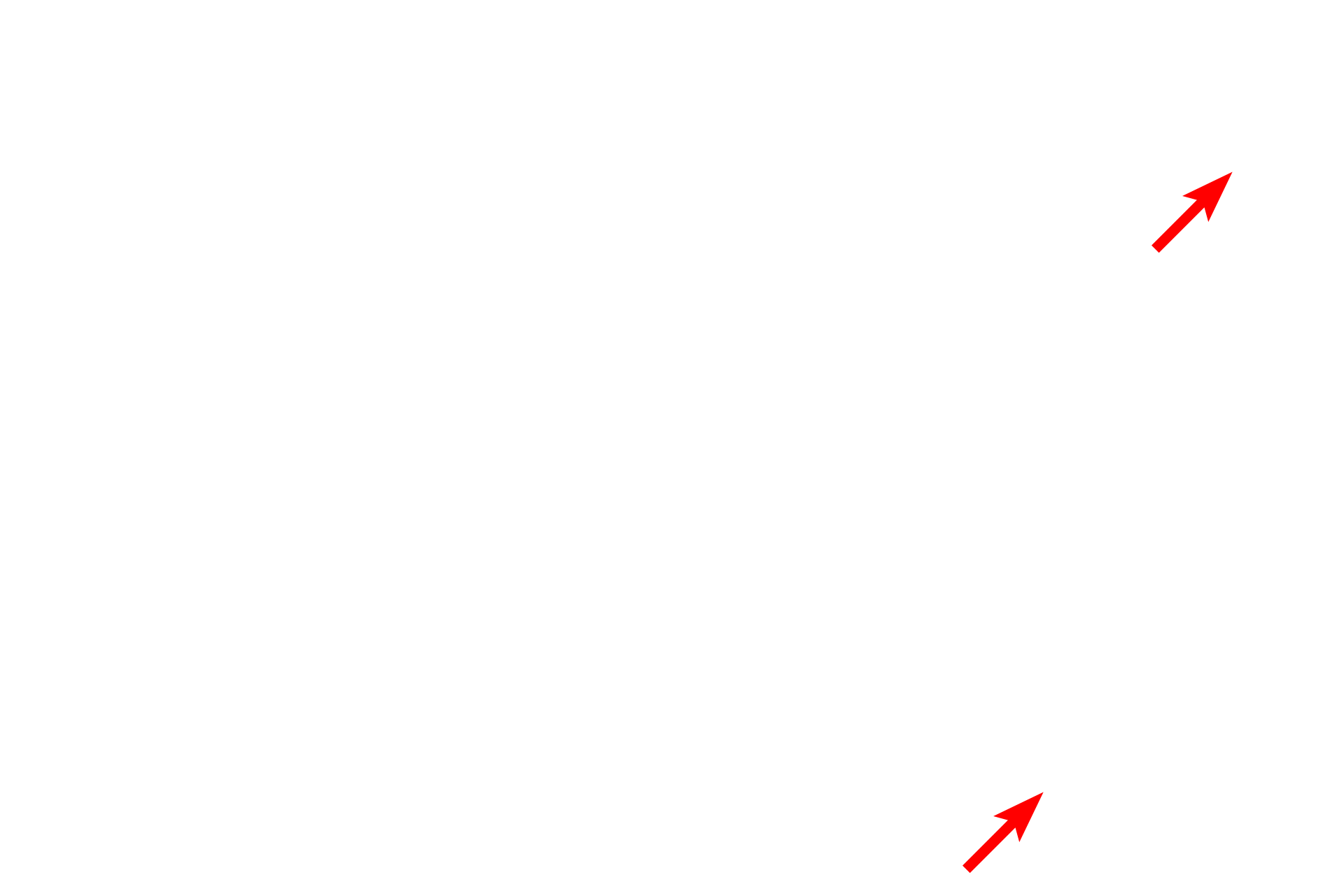 Copper grids <p>As sections are generated, they float onto the water contained in the knife holder reservoir and collected onto circular copper mesh grids.</p>
