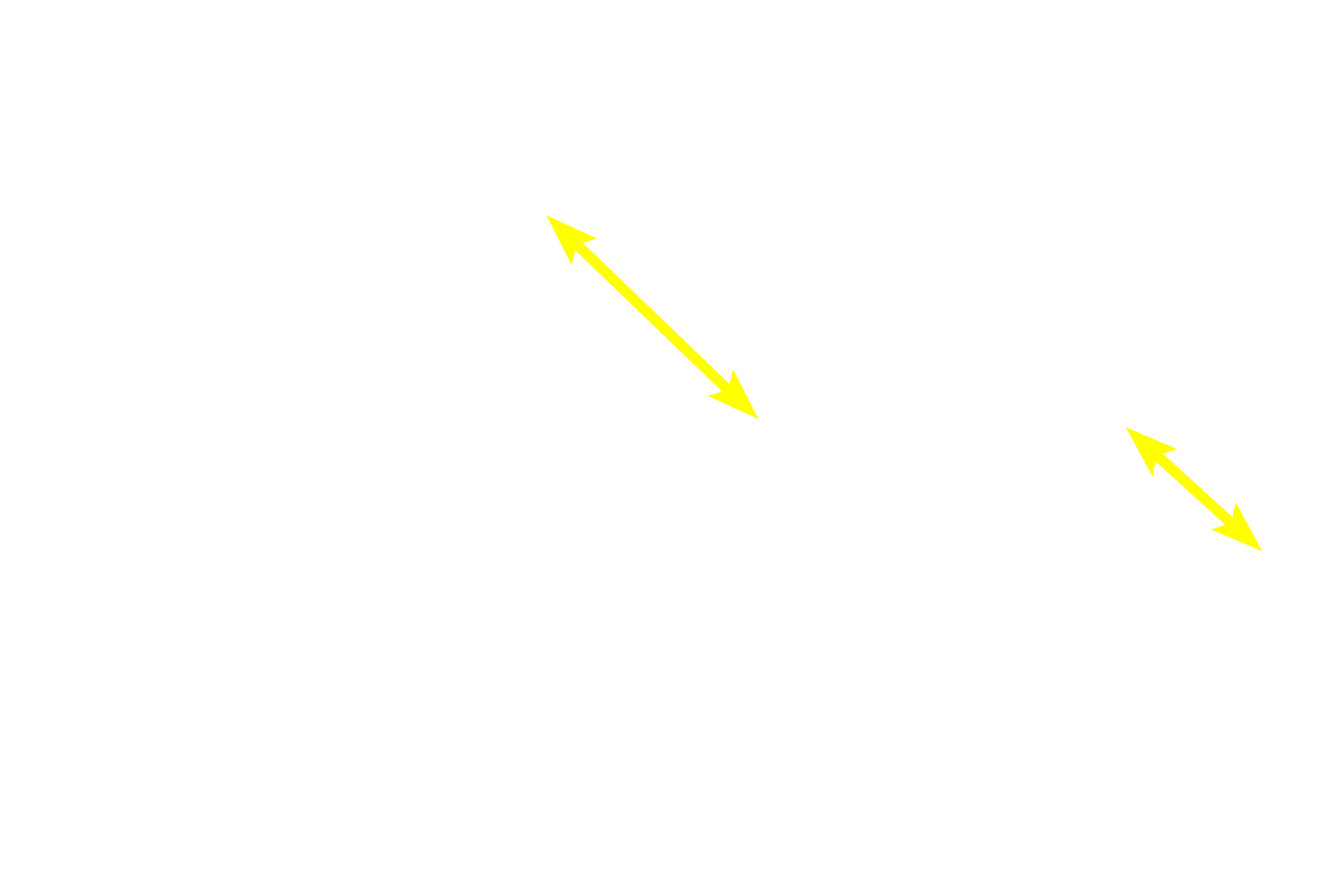 Medulla <p>The thymus gland, shown here, consists of numerous lobules, each with a darkly-stained cortex and a paler staining medulla.  20x</p>
