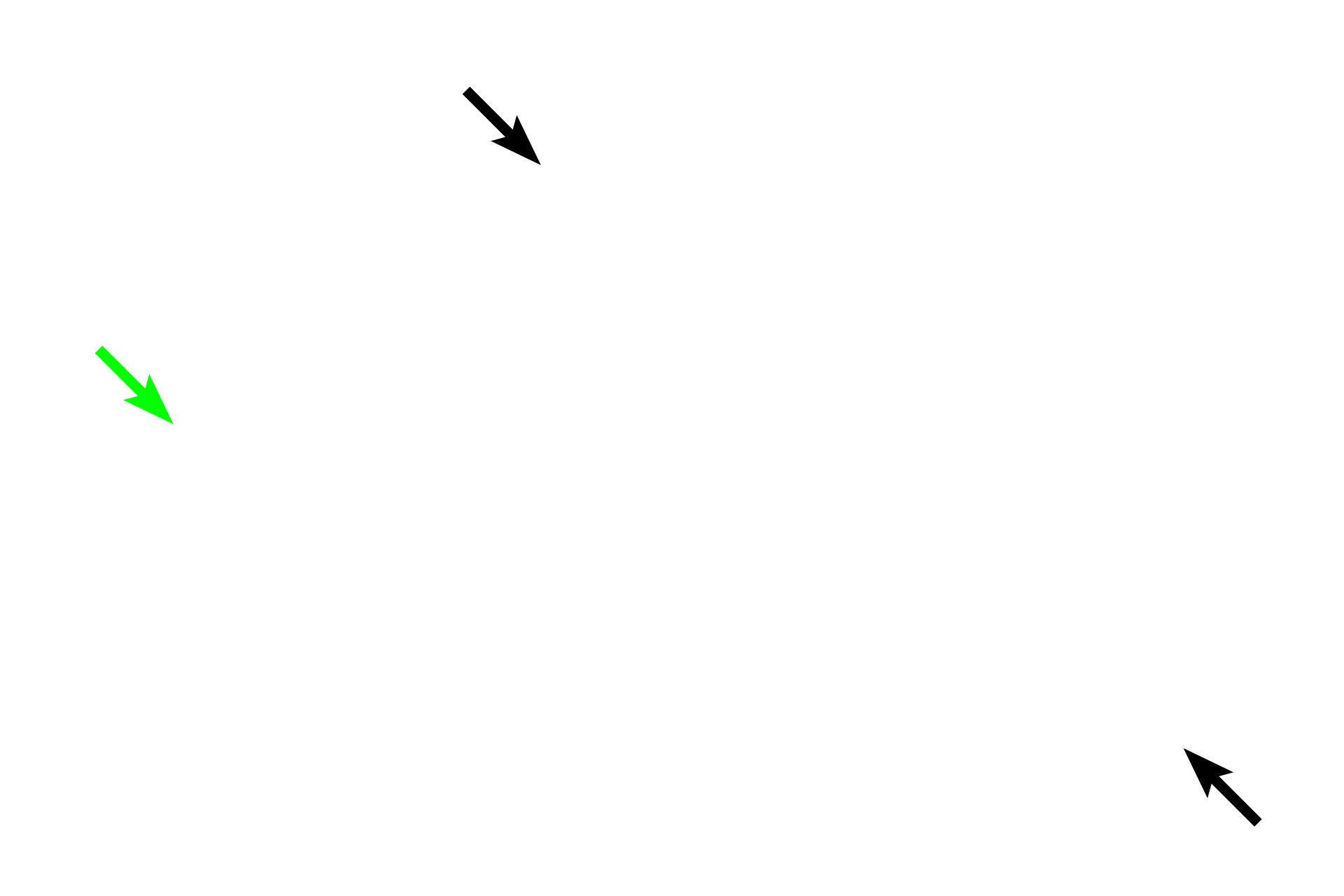 Serous membrane <p>A mucosal membrane (mucosa) lines the lumen of organ systems that open to the exterior of the body (digestive, respiratory and genitourinary).  Mucosae are the most highly variable type of membrane, reflecting the diverse functions of the organs in which they are located.  A mucosa typically consists of an epithelium, a connective tissue (lamina propria), and a layer of smooth muscle (muscularis mucosae).  A mucous membrane is so named because mucus-producing glands frequently secrete onto its surface, providing lubrication.  This image shows a section of the small intestine.  100x</p>

