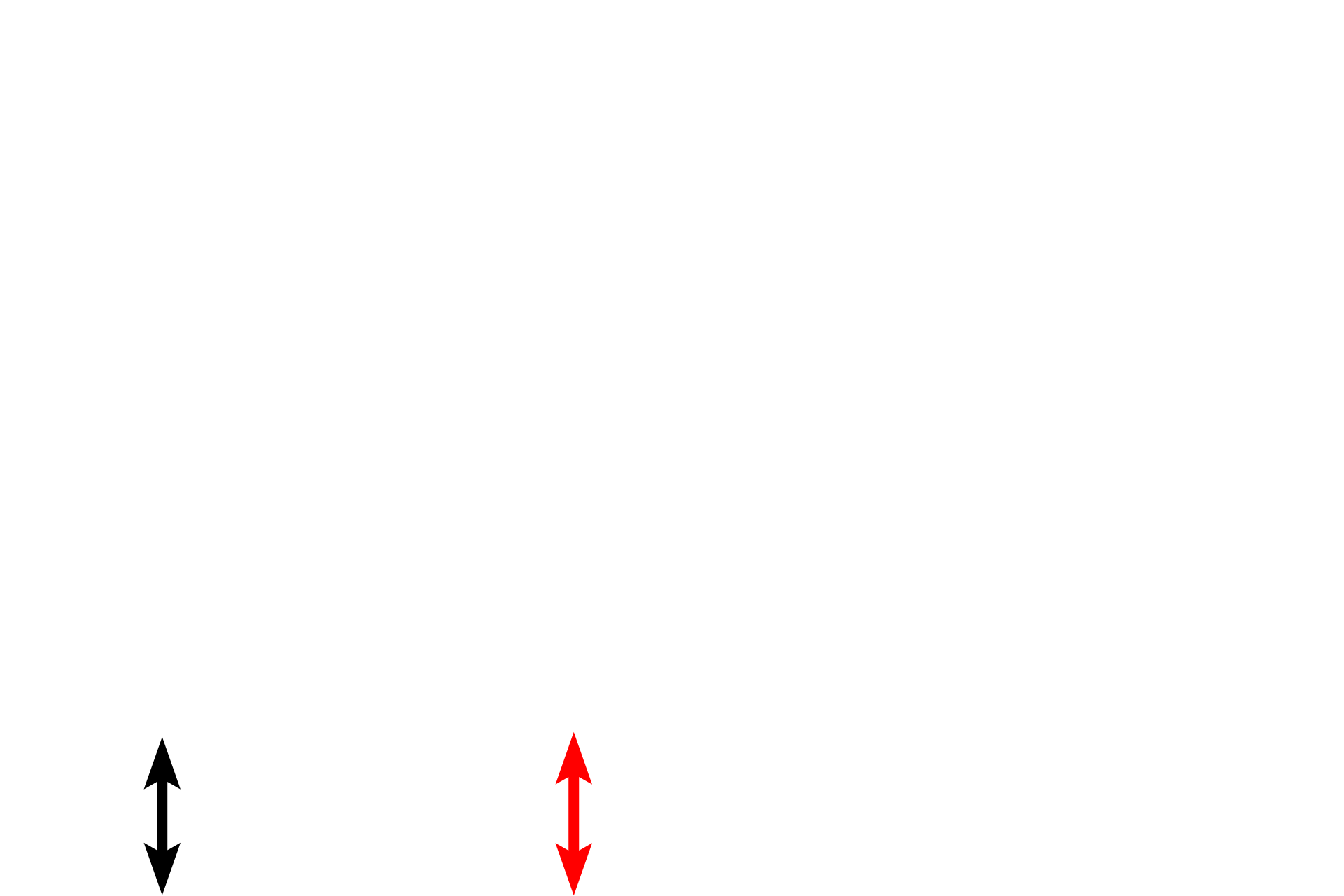 Dermis (papillary layer) <p>These images compare the light and electron microscopic appearance of cells in the stratum basale.  The large bundles of keratin filaments (tonofilaments) are clearly visible at the light and electron microscopic level.  The keratin filaments insert into desmosomes on the lateral and apical surfaces of the cell.  They also insert into hemidesmosomes along the basal surface, adjacent to the basal lamina.  1000x, 4000x  </p>
