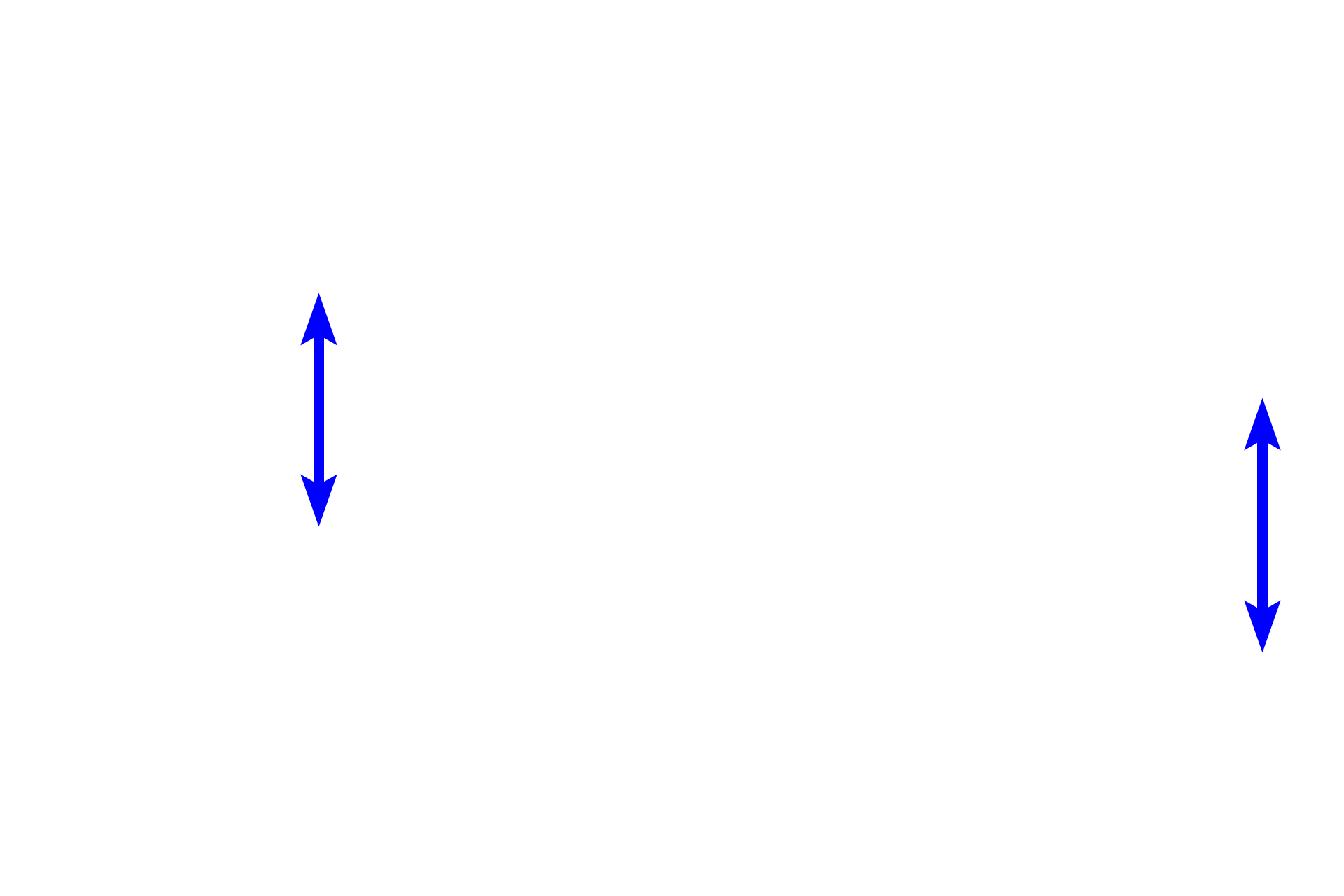 Stratum spinosum <p>These images compare light (l) and dark (r) skin.  In dark skin, the cells of the stratum basale contain much more melanin pigment than those in light skin.  While the amount of melanin varies between skin types, the number of melanocytes is similar.  700x</p>
