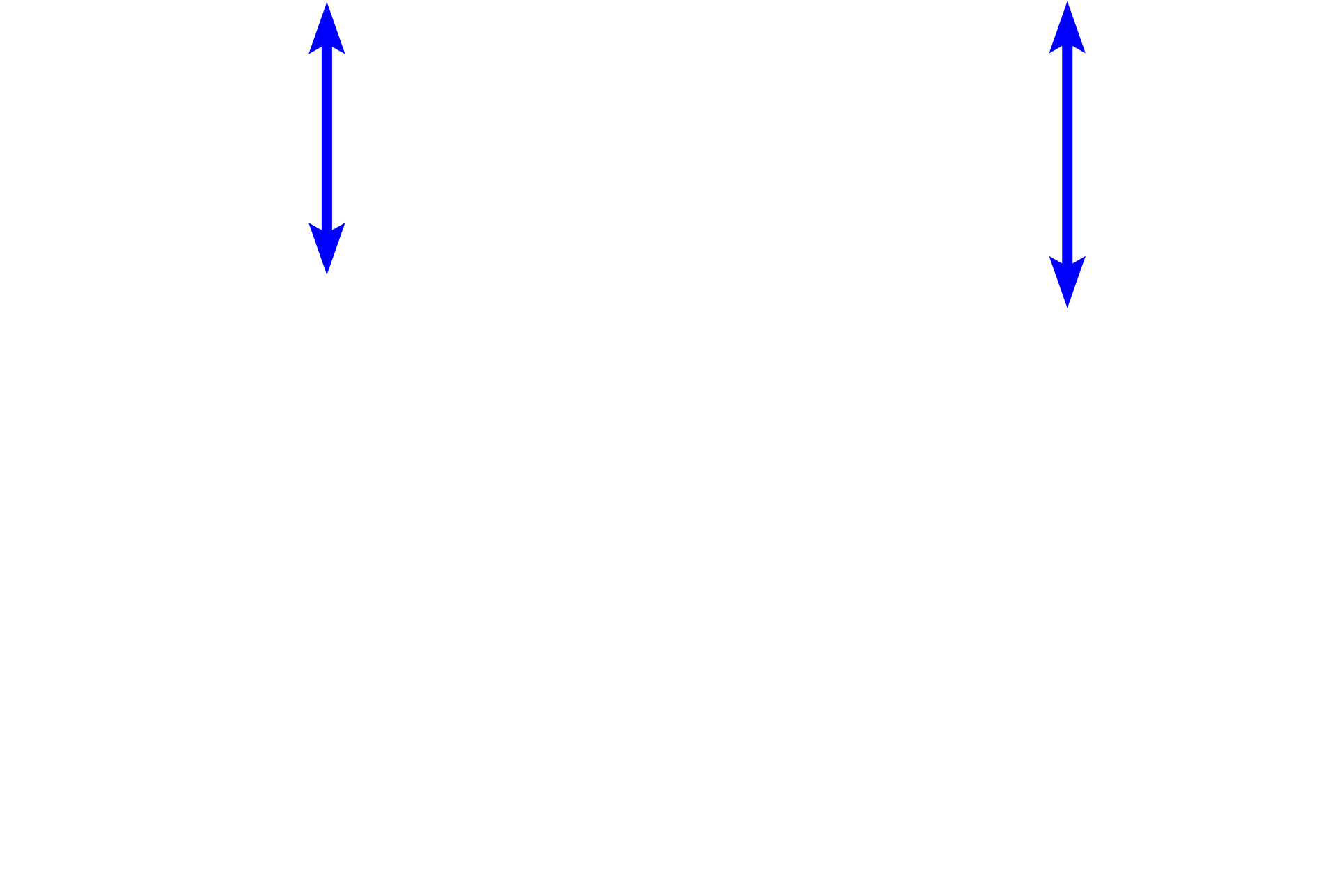 Stratum corneum <p>These images compare light (l) and dark (r) skin.  In dark skin, the cells of the stratum basale contain much more melanin pigment than those in light skin.  While the amount of melanin varies between skin types, the number of melanocytes is similar.  700x</p>
