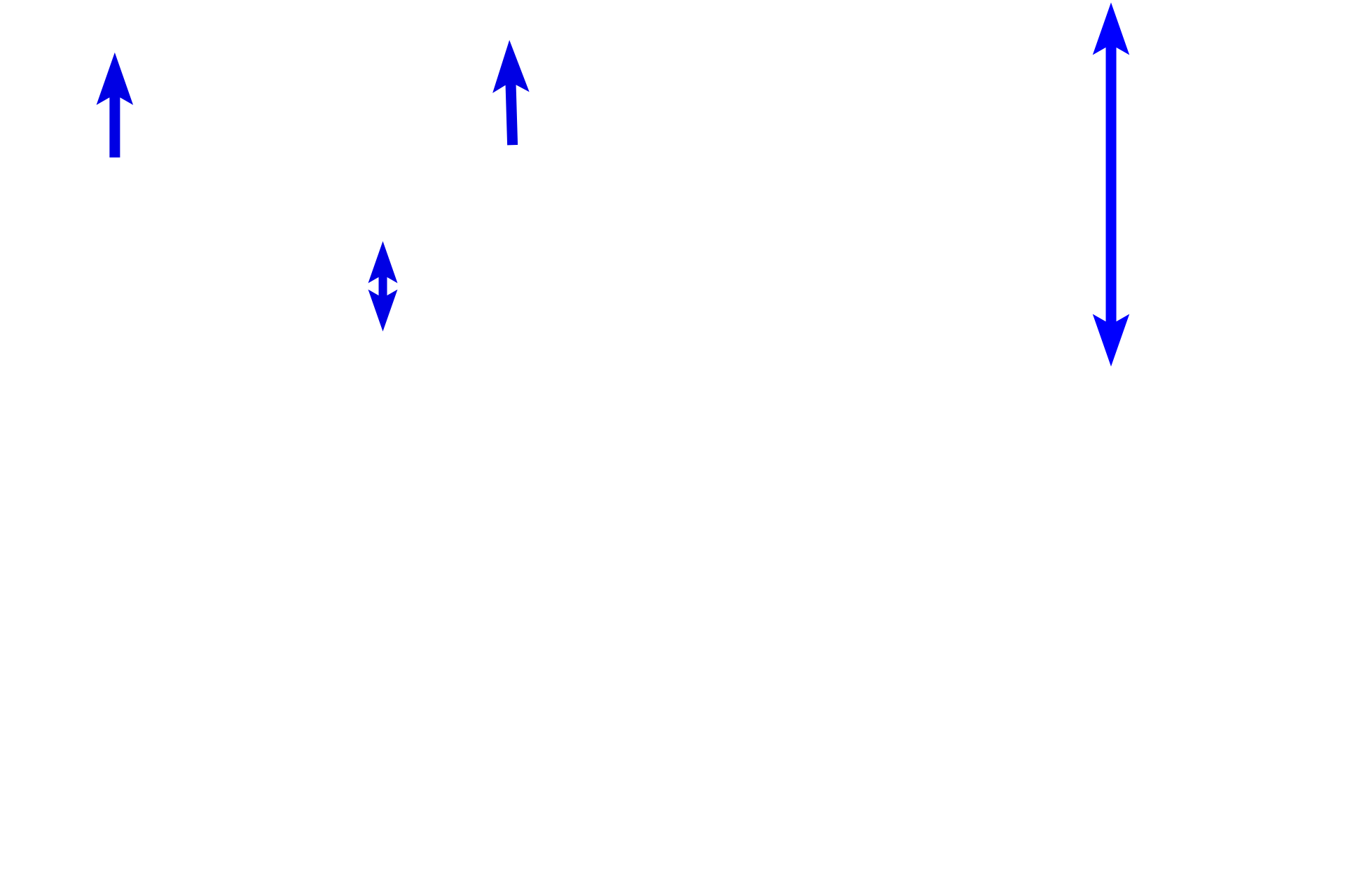 Epineurium > <p>The epineurium consists of dense irregular connective tissue that surrounds the nerve and contains adipocytes as well as blood vessels.  The perineurium, produced by perineurial cells, is a specialized, metabolically active connective tissue that contributes to the blood-nerve-barrier.  The endoneurium is a product of both fibroblasts and Schwann cells and surrounds individual myelinated axons as well as Schwann cells ensheathing unmyelinated axons.  </p>
