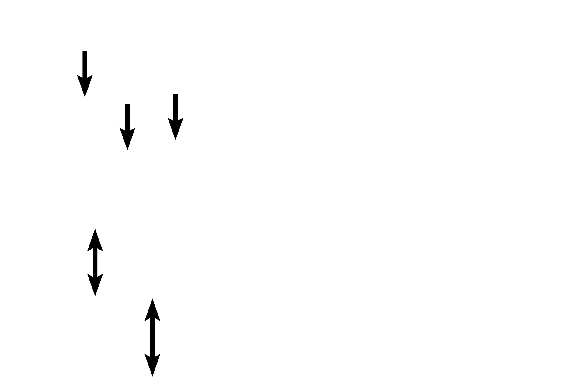 Muscle cells <p>Muscle tissue is composed of abundant cells and minimal extracellular matrix. Muscle cells are elongate in shape and usually clustered into bundles with a similar orientation, so that they produce coordinated contraction.  Muscle tissue is broadly classified as either non-striated (smooth muscle) or striated (skeletal and cardiac muscle).  Striations, shown in this section of skeletal muscle, appear as distinct cross-bands in the cells. </p>
