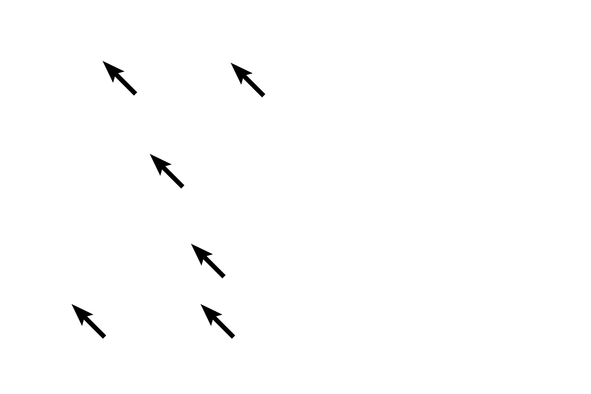 Nuclei <p>Muscle tissue is composed of abundant cells and minimal extracellular matrix. Muscle cells are elongate in shape and usually clustered into bundles with a similar orientation, so that they produce coordinated contraction.  Muscle tissue is broadly classified as either non-striated (smooth muscle) or striated (skeletal and cardiac muscle).  Striations, shown in this section of skeletal muscle, appear as distinct cross-bands in the cells. </p>
