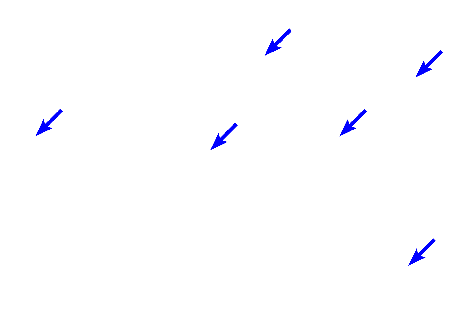 Connective tissue proper > <p>Connective tissue proper is one of the major categories of connective tissues, along with cartilage, bone and blood.  Connective tissue proper, also called fibrous connective tissue, is widely distributed throughout organs and is subdivided into two major categories, loose connective tissue and dense connective tissue.  These designations are based on the arrangement and size of the collagen fibers and the number and types of cells present.</p>
