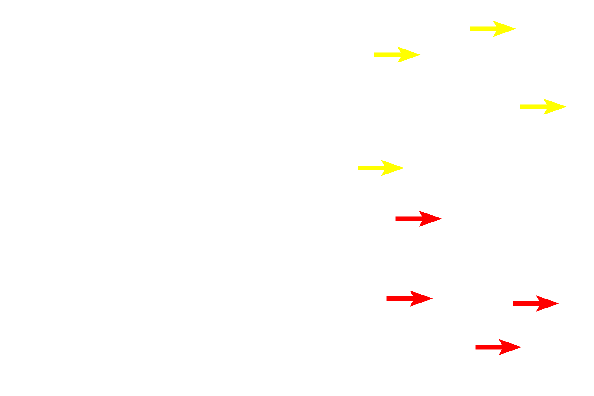 - Fibers <p>Connective tissues possess cells and an abundant extracellular matrix.  The matrix, imparting unique functions to this tissue, is composed of ground substance (with the consistency of a liquid, a gel or a flexible rubber) and fibers (providing a framework and strength).  Major connective tissue types include blood, connective tissue proper, cartilage and bone.</p>
