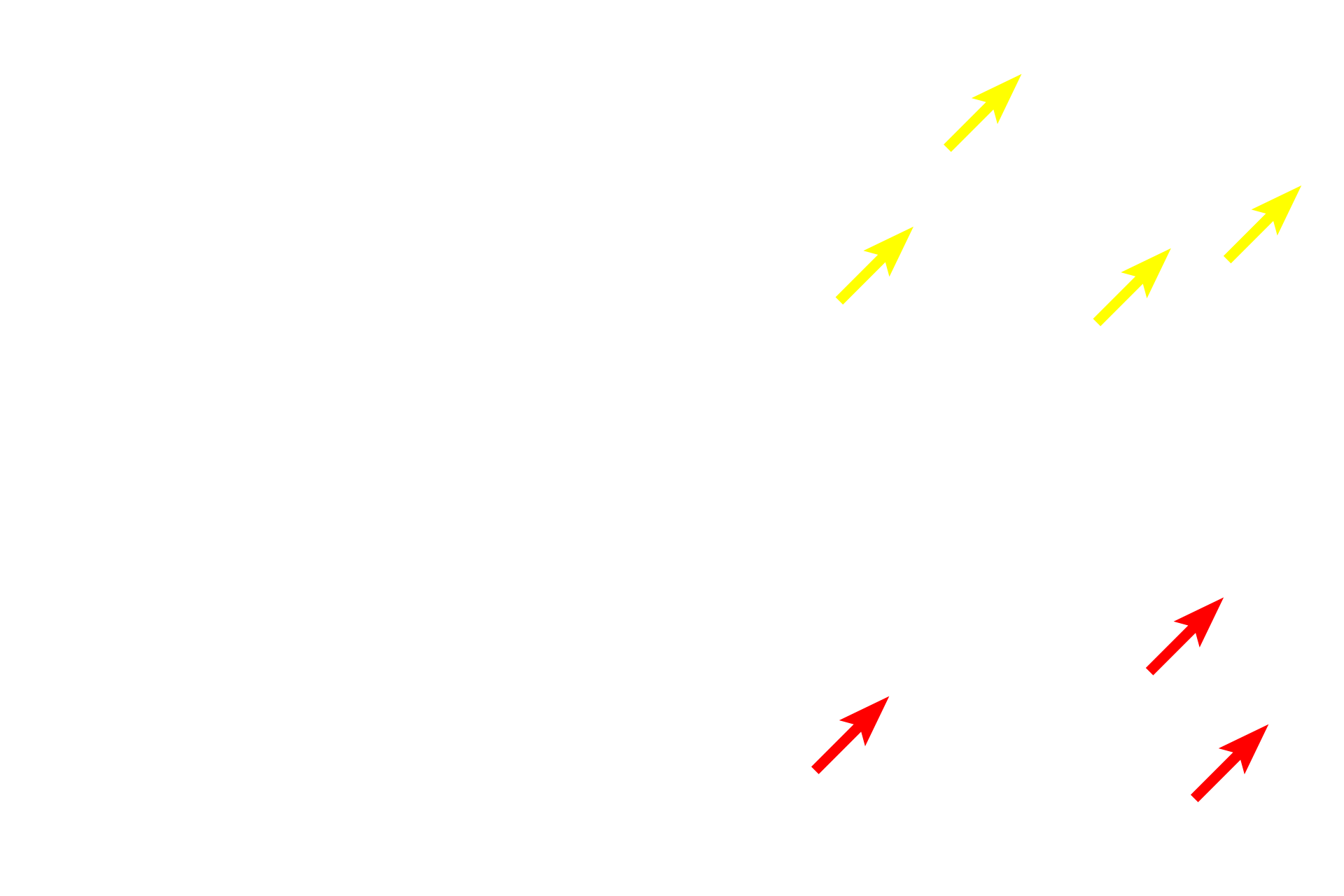  - Ground substance <p>Connective tissues possess cells and an abundant extracellular matrix.  The matrix, imparting unique functions to this tissue, is composed of ground substance (with the consistency of a liquid, a gel or a flexible rubber) and fibers (providing a framework and strength).  Major connective tissue types include blood, connective tissue proper, cartilage and bone.</p>
