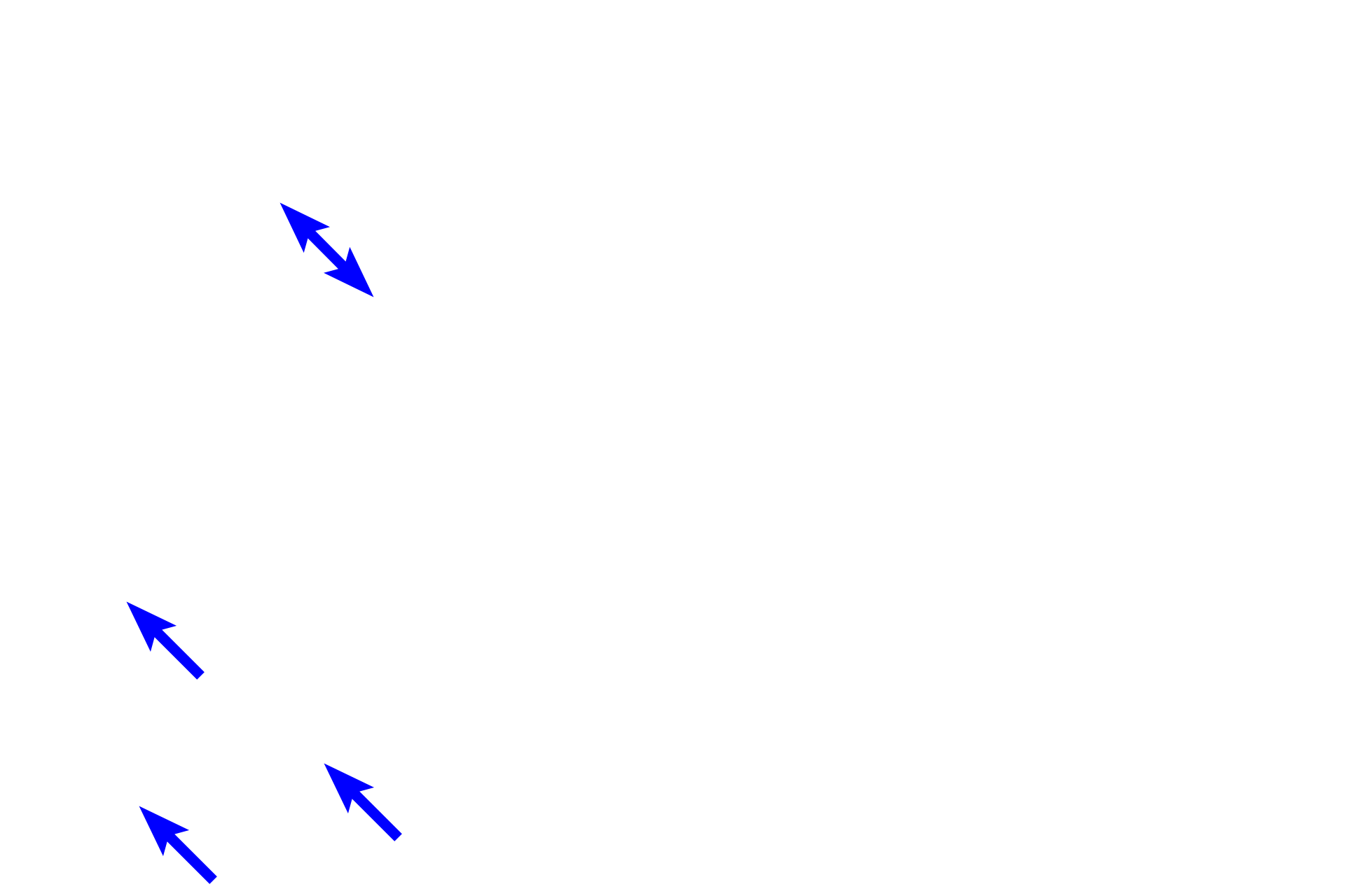 Venules > <p>The smallest post-capillary venules resemble large-diameter capillaries.  Their thin tunica intima consists of an endothelium and a thin subendothelial layer.  No additional tunics are present.  Accompanying arterioles are also shown. </p>
