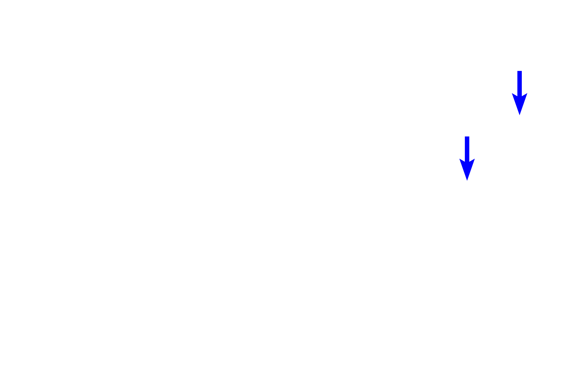  - Tunica media <p>Medium veins accompany muscular arteries and are often named, e.g. radial vein.  Tunica media and tunica adventitia are thicker than in small veins, with the tunica adventitia dominant.  Valves, crescent-shaped folds of the tunica intima that project into the lumen, are particularly prominent in medium veins of the lower extremities.  Medium veins transition to large veins, such as the jugular vein and vena cavae, that form the major portals for blood return to the heart.     </p>
