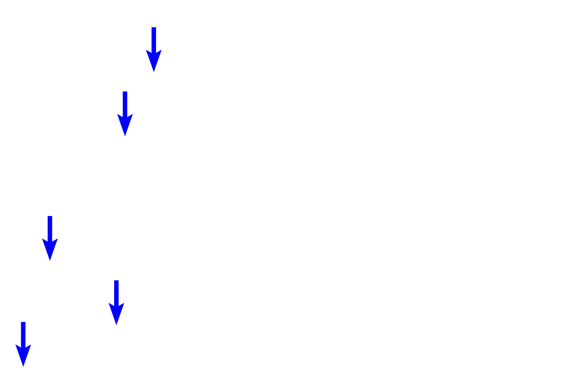  - Endothelial cells <p>The smallest post-capillary venules resemble large-diameter capillaries.  Their thin tunica intima consists of an endothelium and a thin subendothelial layer.  No additional tunics are present.  Accompanying arterioles are also shown. </p>
