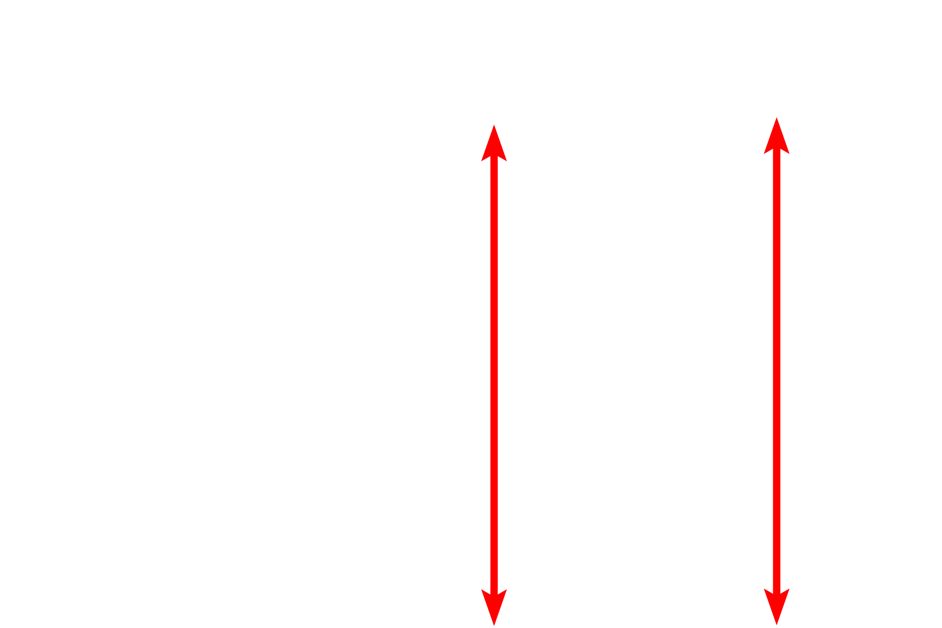 Tunica adventitia <p>Large veins have extremely thin walls compared to the diameter of their lumens and, thus, often have an irregular, sometimes folded appearance, as seen in this vena cava on the left.  The vena cava, the largest vein, returns blood to the right atrium of the heart; in humans, it is about 2 cm in diameter. Large veins, have a significant amount of longitudinally-oriented smooth muscle in the tunica adventitia, as shown at higher magnification in the cross section on the right. Trichrome stain, 10x, 100x</p>
