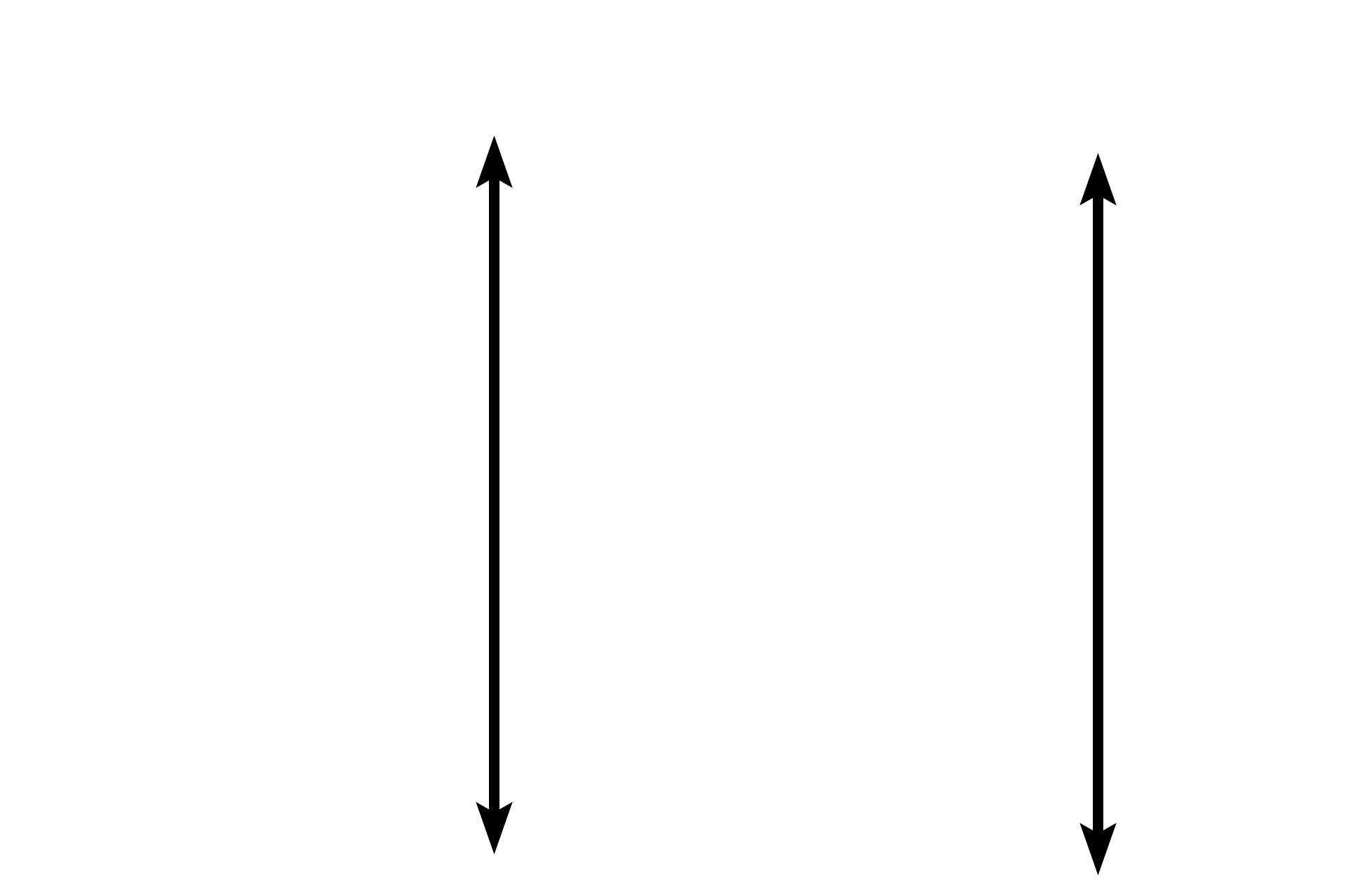 Tunica adventitia <p>A feature of large veins, like the vena cava shown here, is a significant amount of longitudinally-oriented smooth muscle in the tunica adventitia.  In this H and E stained transverse section, the fibers are seen in cross section.  The tunica media consists of circularly-arranged smooth muscle and variable amounts of smooth muscle may also be present in the tunica intima.  H and E stain, 100x</p>

