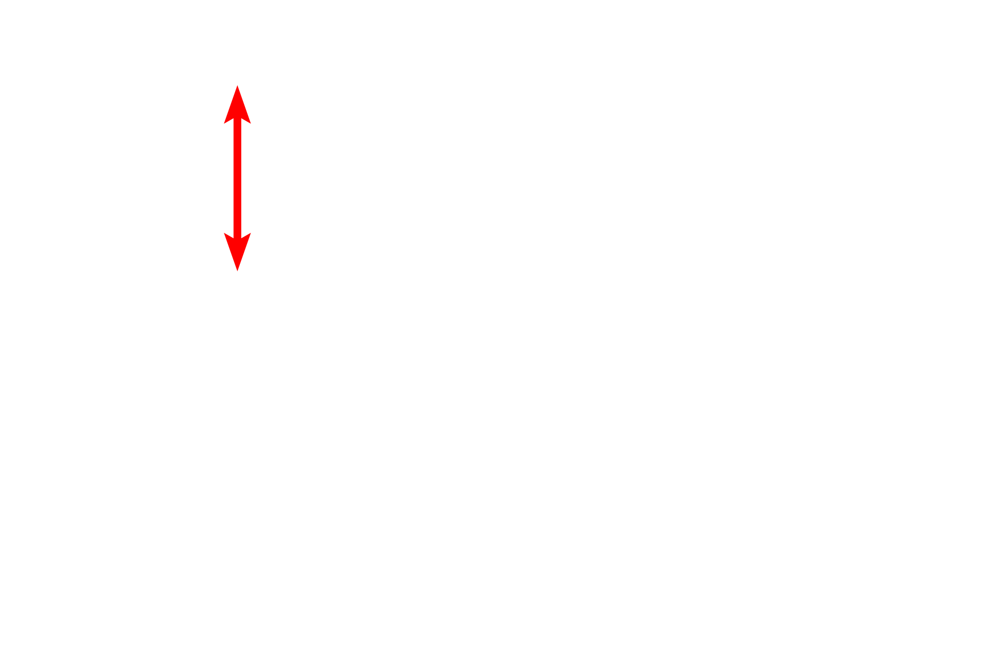 Pericyte nucleus <p>Post-capillary venules often possess pericytes, multipotential cells with extensive cytoplasmic extensions that extend around the venule.  Pericytes have contractile properties and form gap junctions with endothelial cells, with which they share a basal lamina.  Pericytes also have additional roles in vessel growth and maintenance.  2500x</p>
