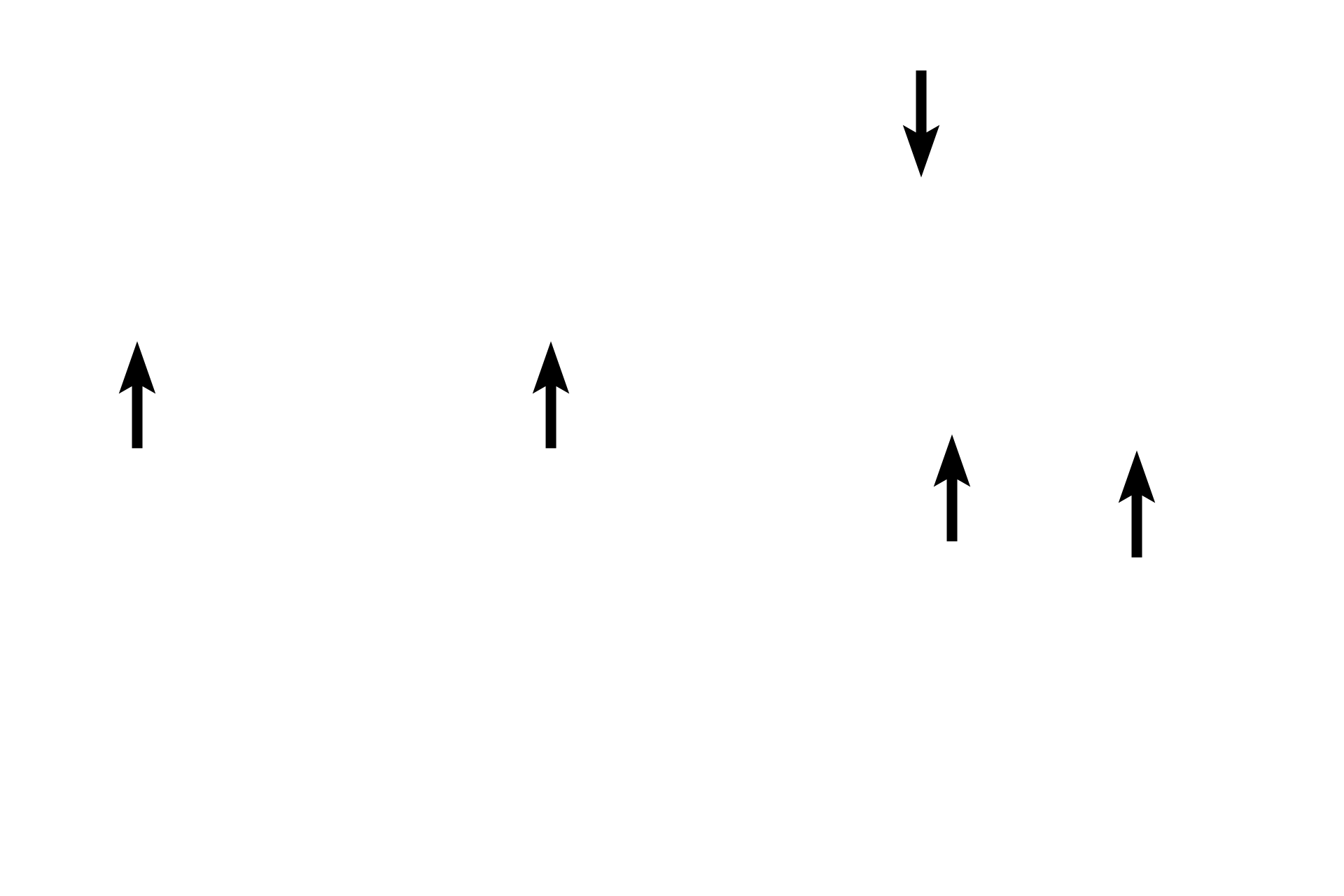 Tunica adventitia <p>A larger venule is compared with its accompanying arteriole. The venule displays an irregular outline and its wall consists of an endothelium and clearly visible subendothelial connective tissue.  The wall of the venule is much thinner than that of the arteriole it accompanies. The arteriole has a circular outline, a visible internal elastic lamina, and a prominent tunica media consisting of 2-3 layers of smooth muscle.  400x</p>
