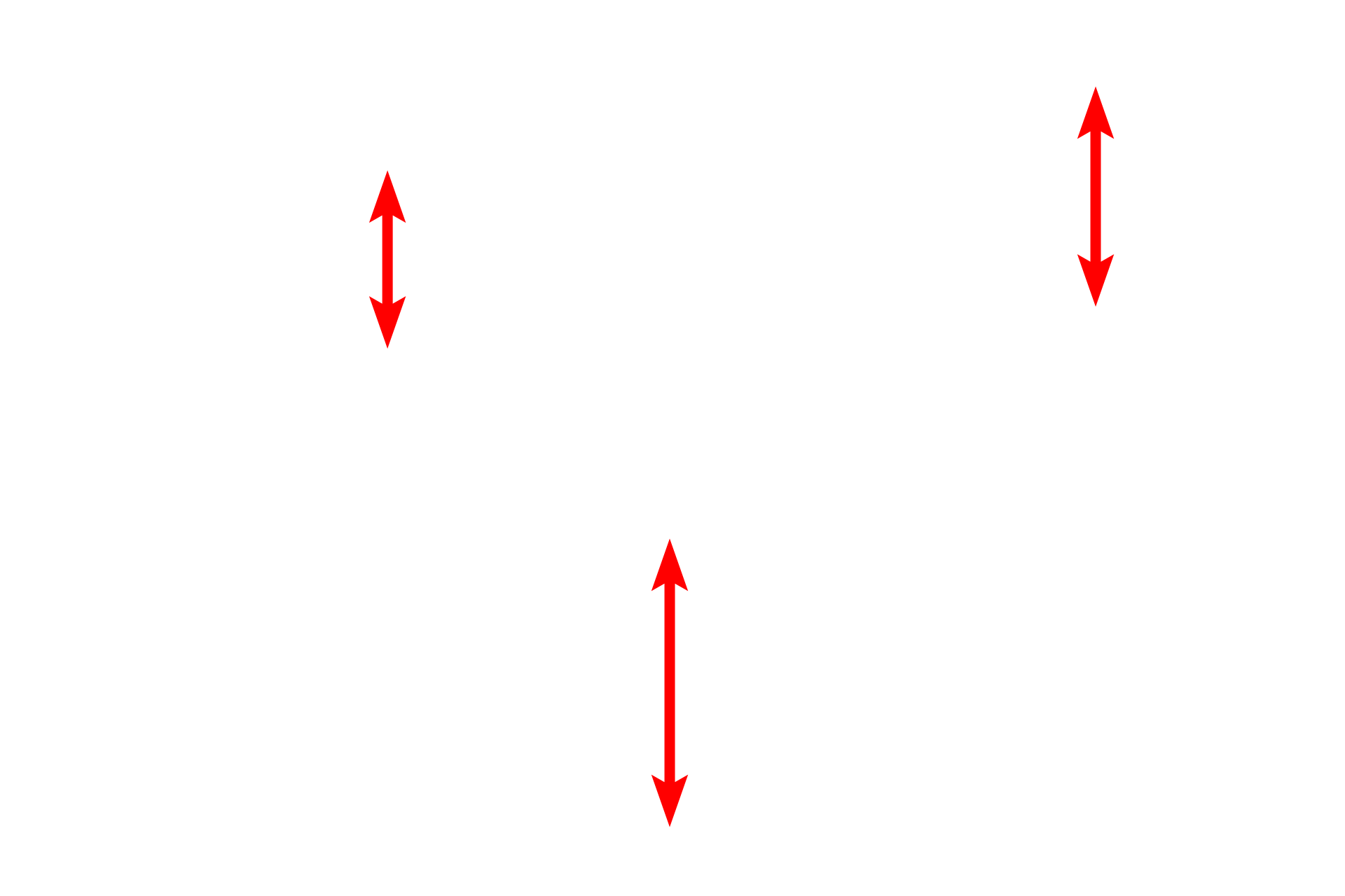 High endothelial venules <p>A unique venule, the high endothelial venule (HEV), is located in some components of the lymphoid system.  HEVs are lined by endothelial cells that are cuboidal, rather than squamous, which allow for migration of white blood cells into the surrounding tissue spaces (diapedesis).  600x, 800x</p>
