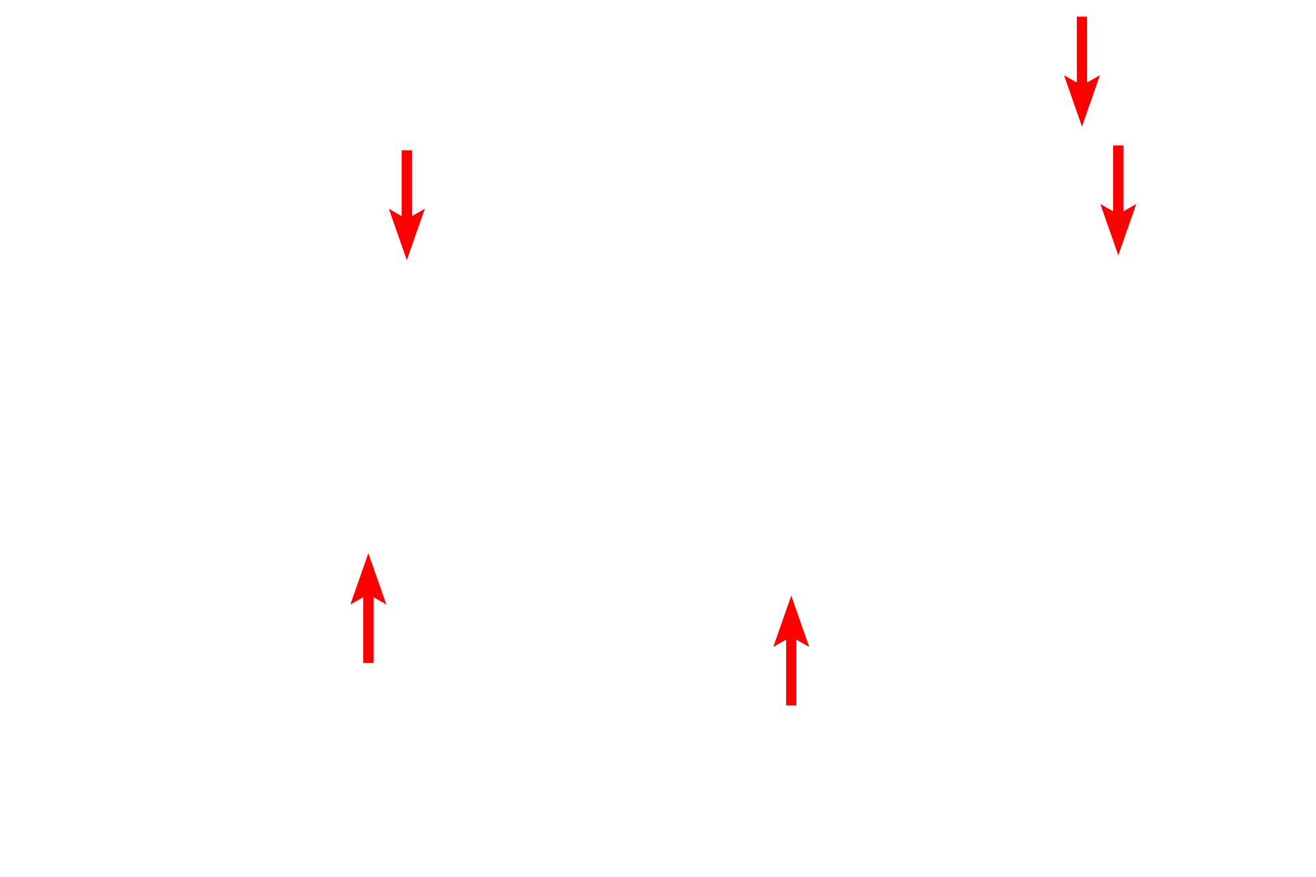 Endothelium <p>A unique venule, the high endothelial venule (HEV), is located in some components of the lymphoid system.  HEVs are lined by endothelial cells that are cuboidal, rather than squamous, which allow for migration of white blood cells into the surrounding tissue spaces (diapedesis).  600x, 800x</p>

