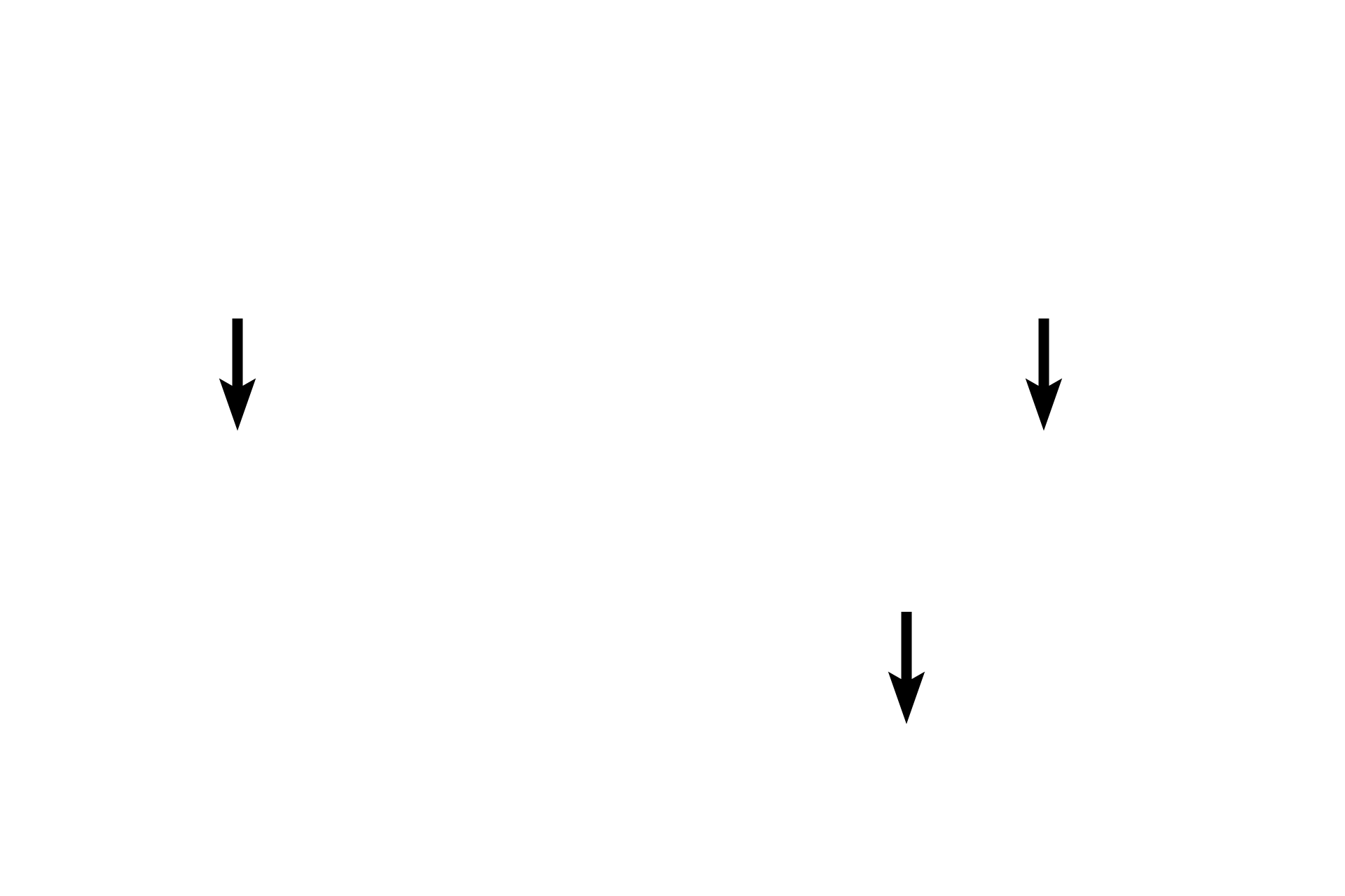 Tunica intima <p>Larger venules transition into small veins where all three tunics are well represented.  Also appearing in small veins are valves which are formed by paired, crescent-shaped folds (leaflets) of the tunica intima that project into the lumen. These valves help prevent the back flow of blood. Small veins have a tunica media composed of circularly-arranged smooth muscle cells.  200x</p>
