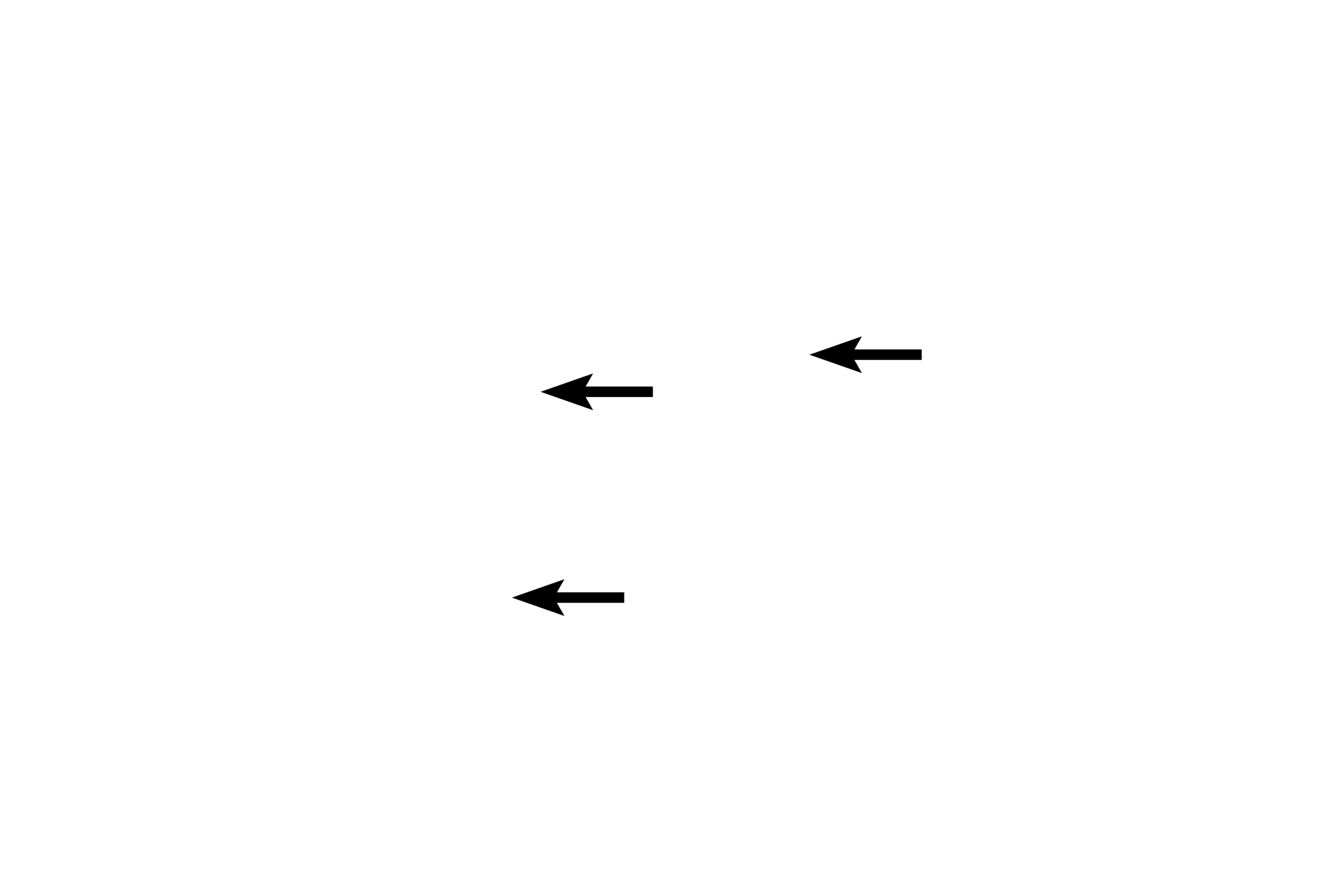  - Valve leaflets > <p>Valves are particularly prominent in veins of the lower extremity where they prevent the “back-flow” of blood due to gravity.  Blood pressure on the venous side of the circulatory system is low and venous return to the heart is accomplished principally by contraction of adjacent skeletal muscles, which produce a milking action in the vein.</p>
