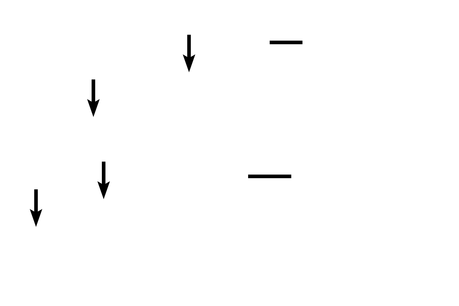 Tunica media <p>In medium veins, each of the tunics increases in width, with a well-defined tunica adventitia predominating.  Medium veins are often named, e.g., radial, tibial and popliteal.  Accompanying this vein is a muscular artery.  40x, 200x</p>
