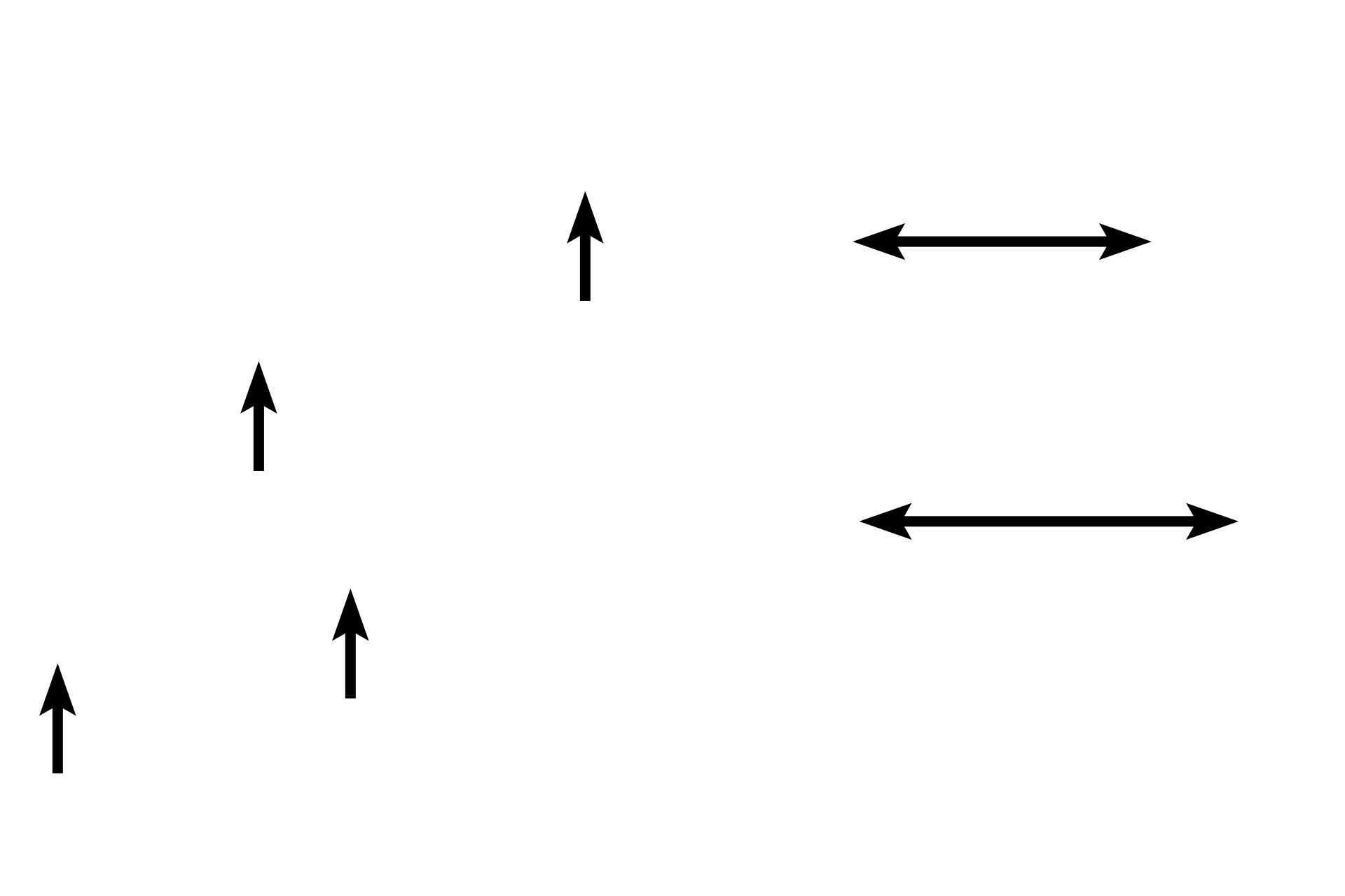 Tunica adventitia <p>In medium veins, each of the tunics increases in width, with a well-defined tunica adventitia predominating.  Medium veins are often named, e.g., radial, tibial and popliteal.  Accompanying this vein is a muscular artery.  40x, 200x</p>
