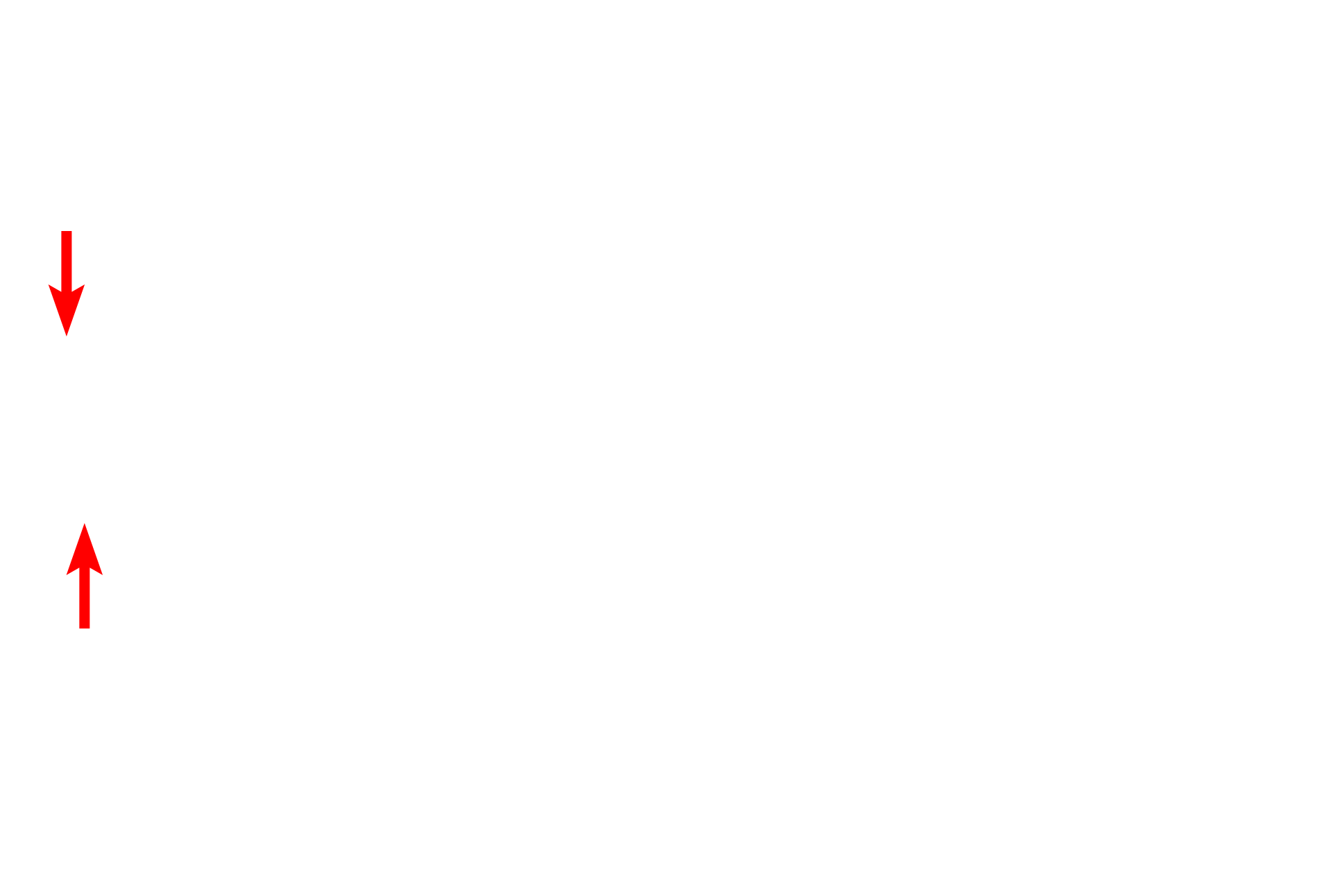  - Compact myelin > <p>Compact myelin, constituting most of a myelin internode, is composed of membranes with a uniquely high lipid content, providing insulation to ensure salutatory conduction occurs.  Only a small portion of compact myelin is visible on the left.     </p>
