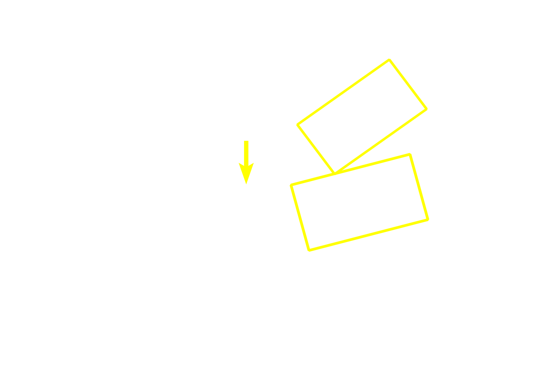 Primary spermatocytes in metaphase <p>Primary spermatocytes, the largest cells in the spermatogenic lineage, form from mitotic division of spermatogonia in the basal compartment. Primaries migrate through the blood-testis barrier and enter a prolonged period of prophase of meiosis I. Primary spermatocytes complete meiosis I, the reductional phase, to produce haploid secondary spermatocytes. 1000x</p>
