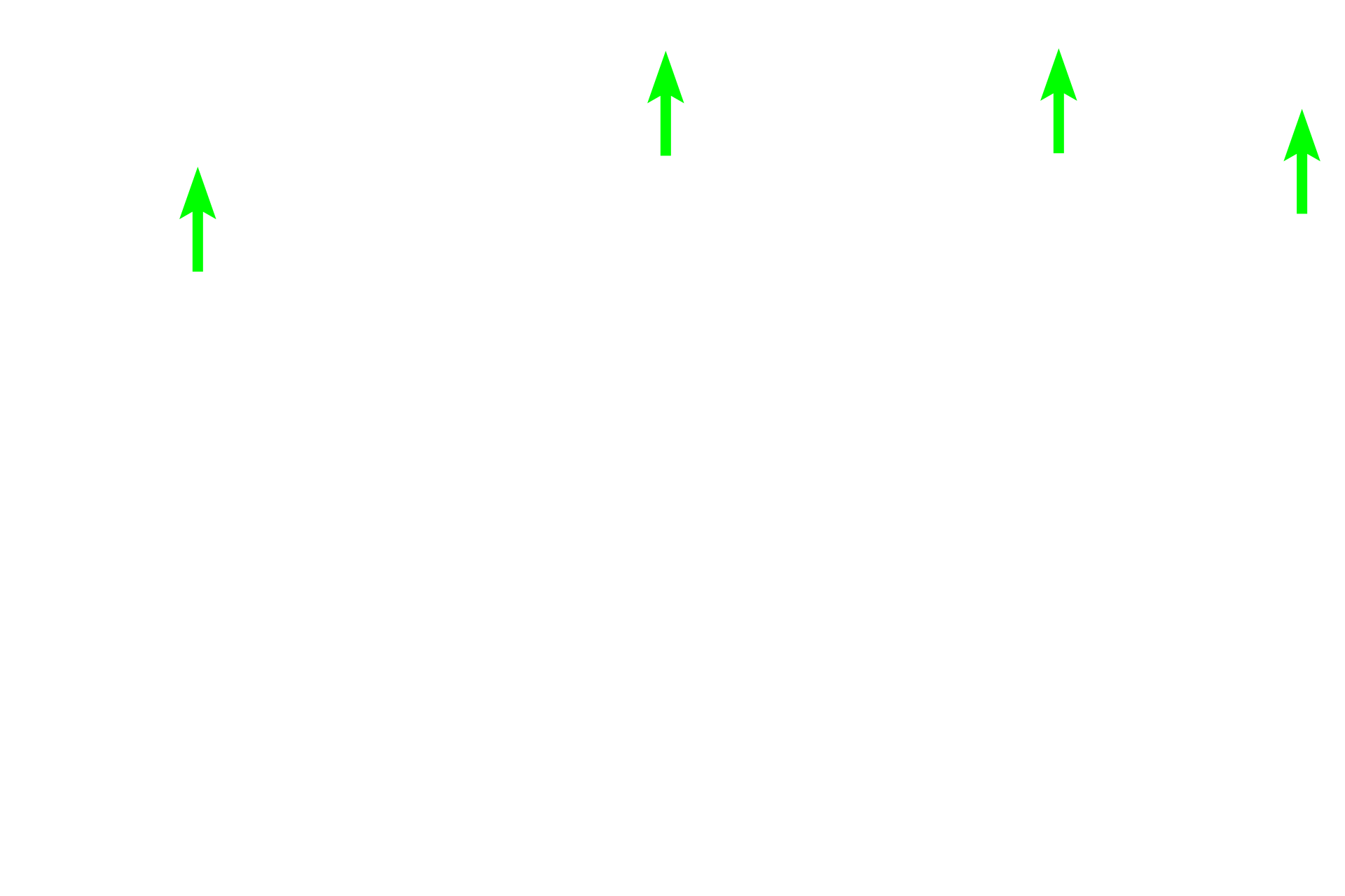 Spermatozoa > <p>At the completion of spermiogenesis, late spermatids are shed into the lumen of the tubule by a process termed spermiation.  This process results in free spermatozoa in the lumen, though they are non-motile at this point. </p>
