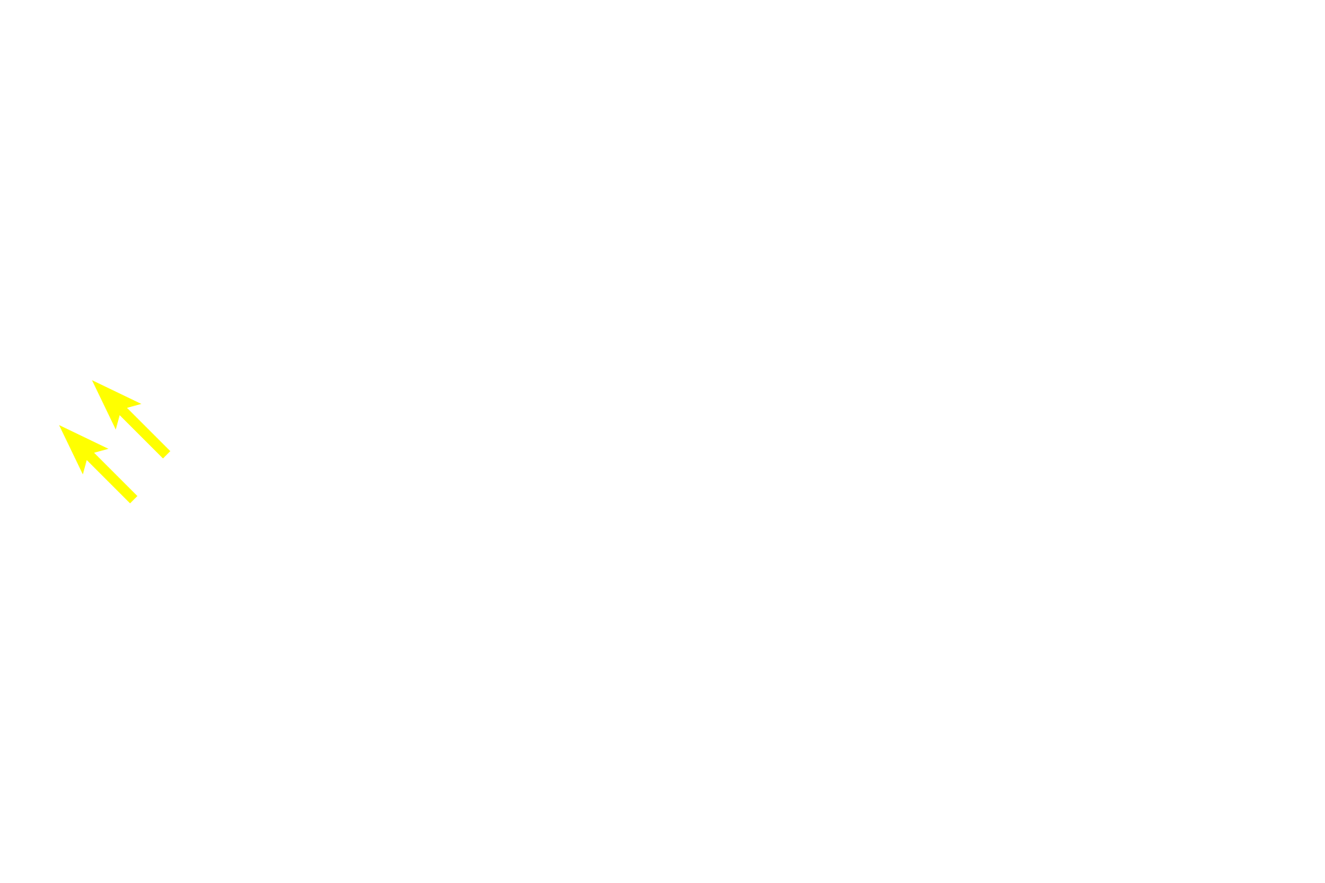 Leydig cells <p>Spermatogonia and early primary spermatocytes are located in the basal compartment created by the blood-testis barrier. Older primary spermatocytes, secondary spermatocytes and spermatids, all located in the adluminal compartment, are provided with a specialized environment of high testosterone levels and protection from an autoimmune attack. 600x</p>
