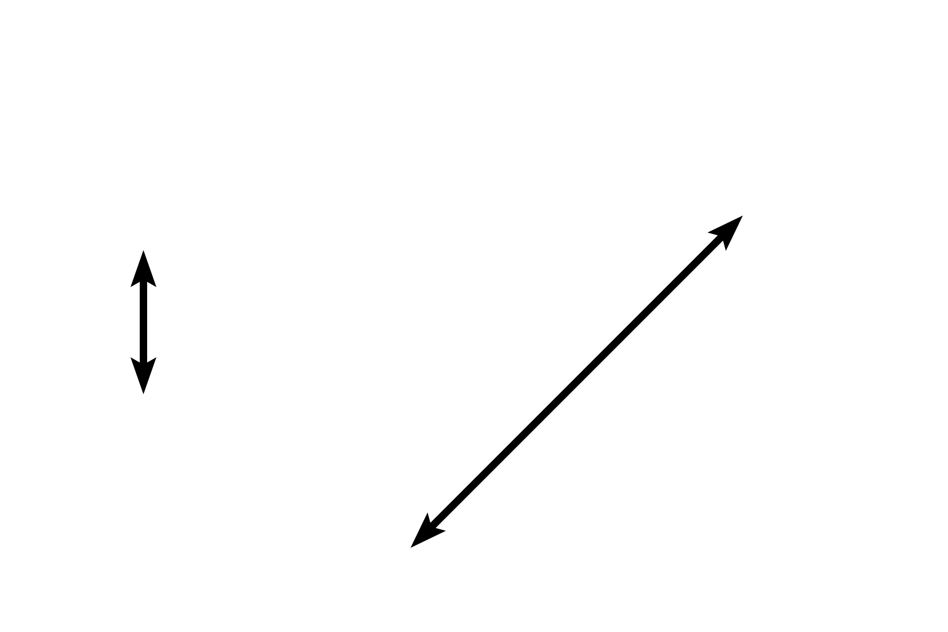 Mediastinum <p>The same layers surround the testis proper in the adult (seen here) that were identified in the immature testis. Growth of the seminiferous tubules during puberty flattens the mediastinum into a wedge positioned at the posterior edge of the testis. Sperm are produced in the seminiferous tubules and moved into the rete testis in the mediastinum by peristaltic contractions along the length of the seminiferous tubules. 10x, 100x</p>
