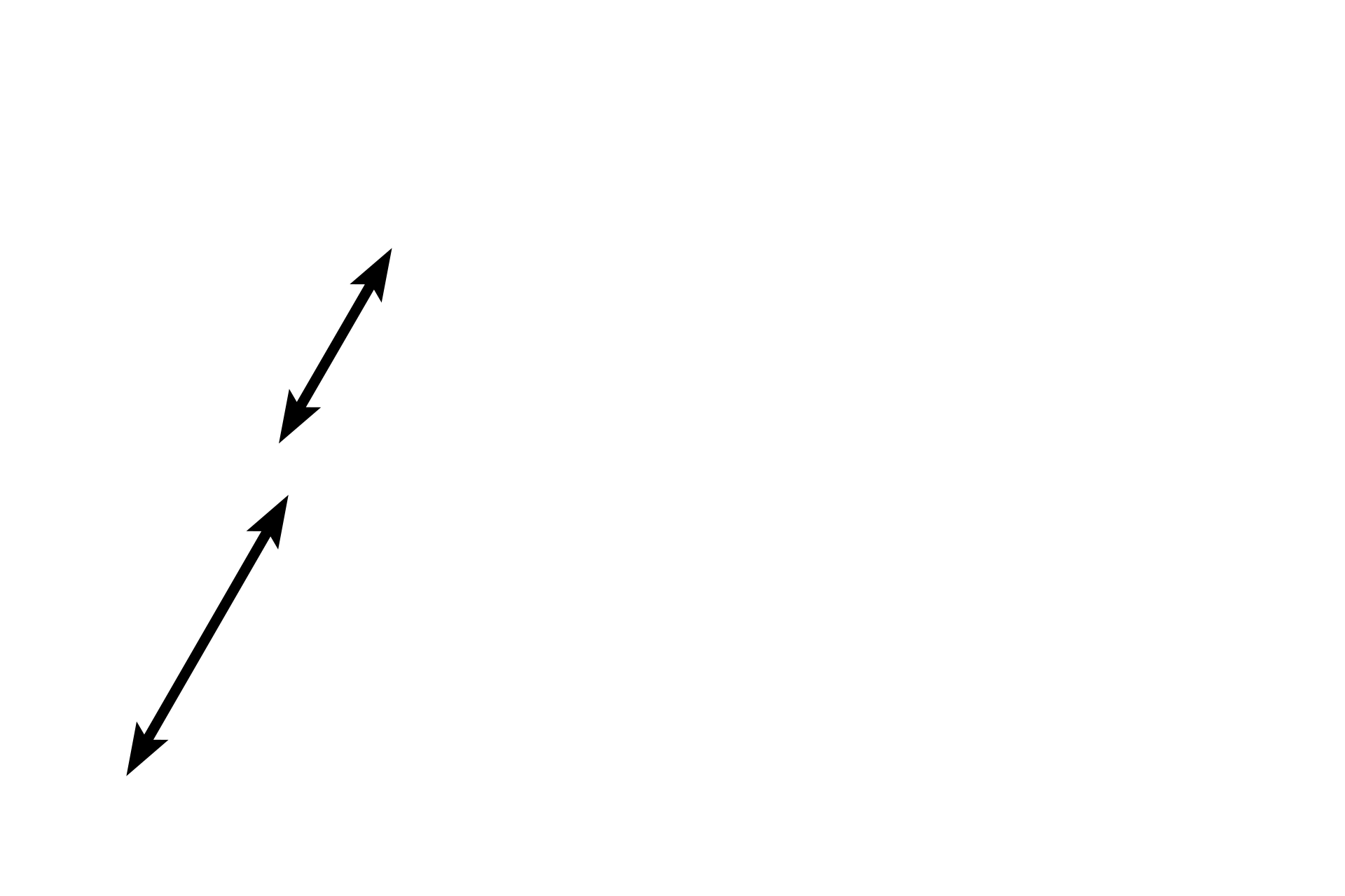 Coni vasculosi <p>From the mediastinum, the rete testis courses through the tunica albuginea to enter the head of the epididymis, where it is continuous with the efferent ducts.  Efferent ducts are coiled to form the coni vasculosi, a major portion of the head of the epididymis.  Efferent ducts anastomose to form the duct of the epididymis (not shown in this image).  10x</p>
