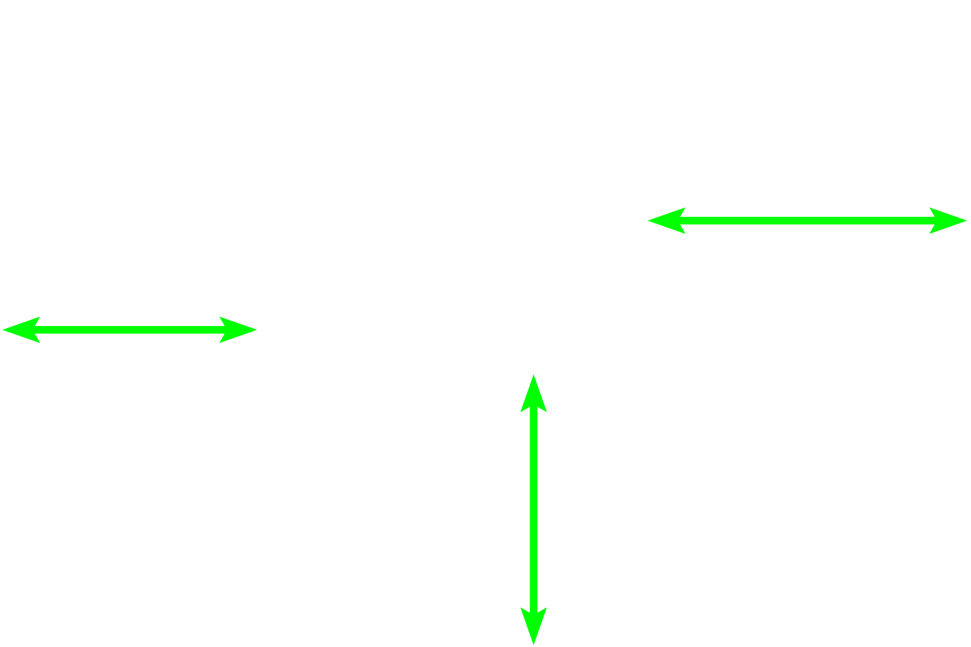 Seminiferous tubules - Convoluted portions  <p>This section demonstrates the convoluted portions of seminiferous tubules converging at the mediastinum. As they approach, these tubules lose the seminiferous epithelium and become the straight portions (tubuli recti) of the seminiferous tubules. Straight tubules, lined by modified Sertoli cells, continue into the rete testis, located within the mediastinum. 100x</p>
