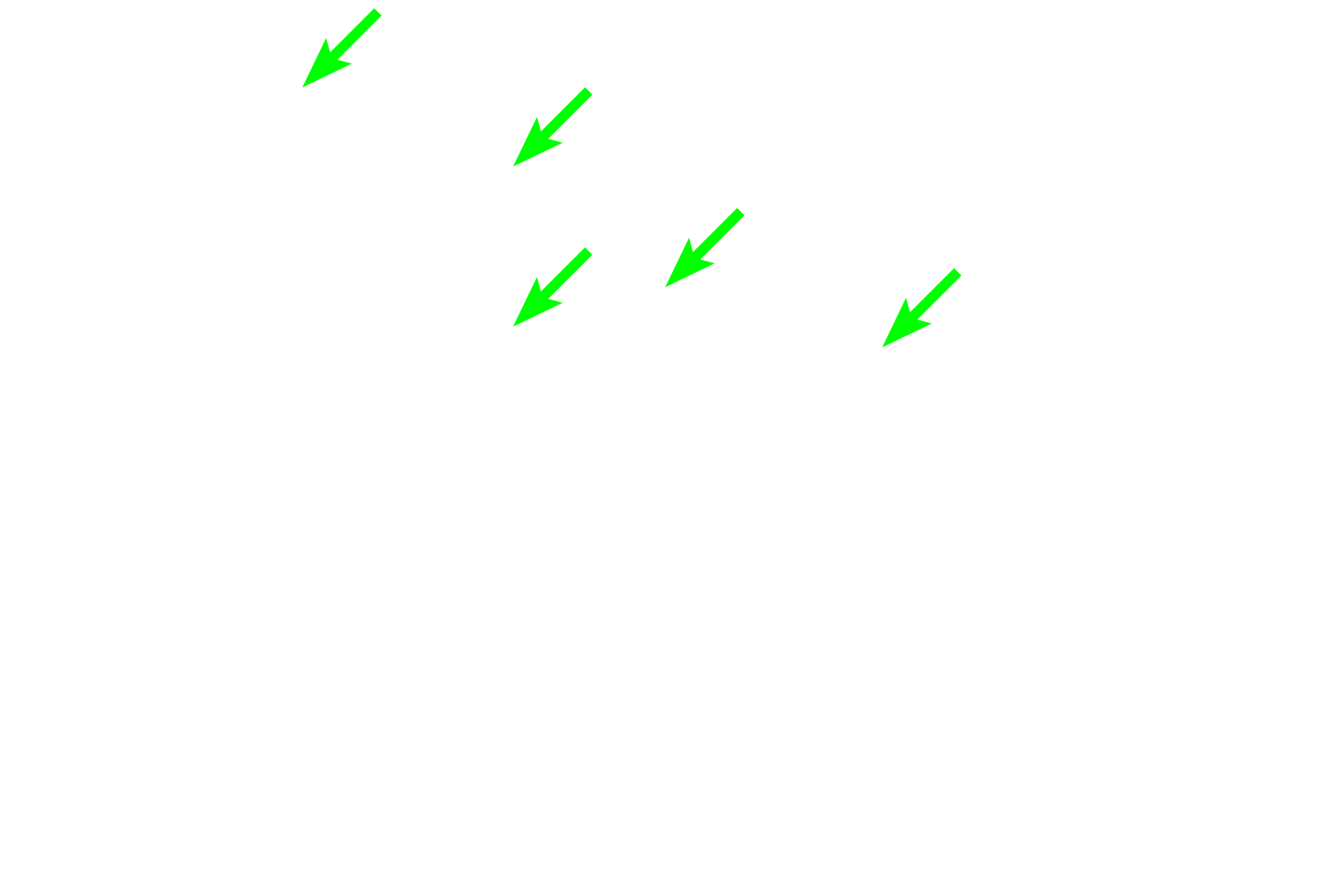 Rete testis <p>This section demonstrates the convoluted portions of seminiferous tubules converging at the mediastinum. As they approach, these tubules lose the seminiferous epithelium and become the straight portions (tubuli recti) of the seminiferous tubules. Straight tubules, lined by modified Sertoli cells, continue into the rete testis, located within the mediastinum. 100x</p>
