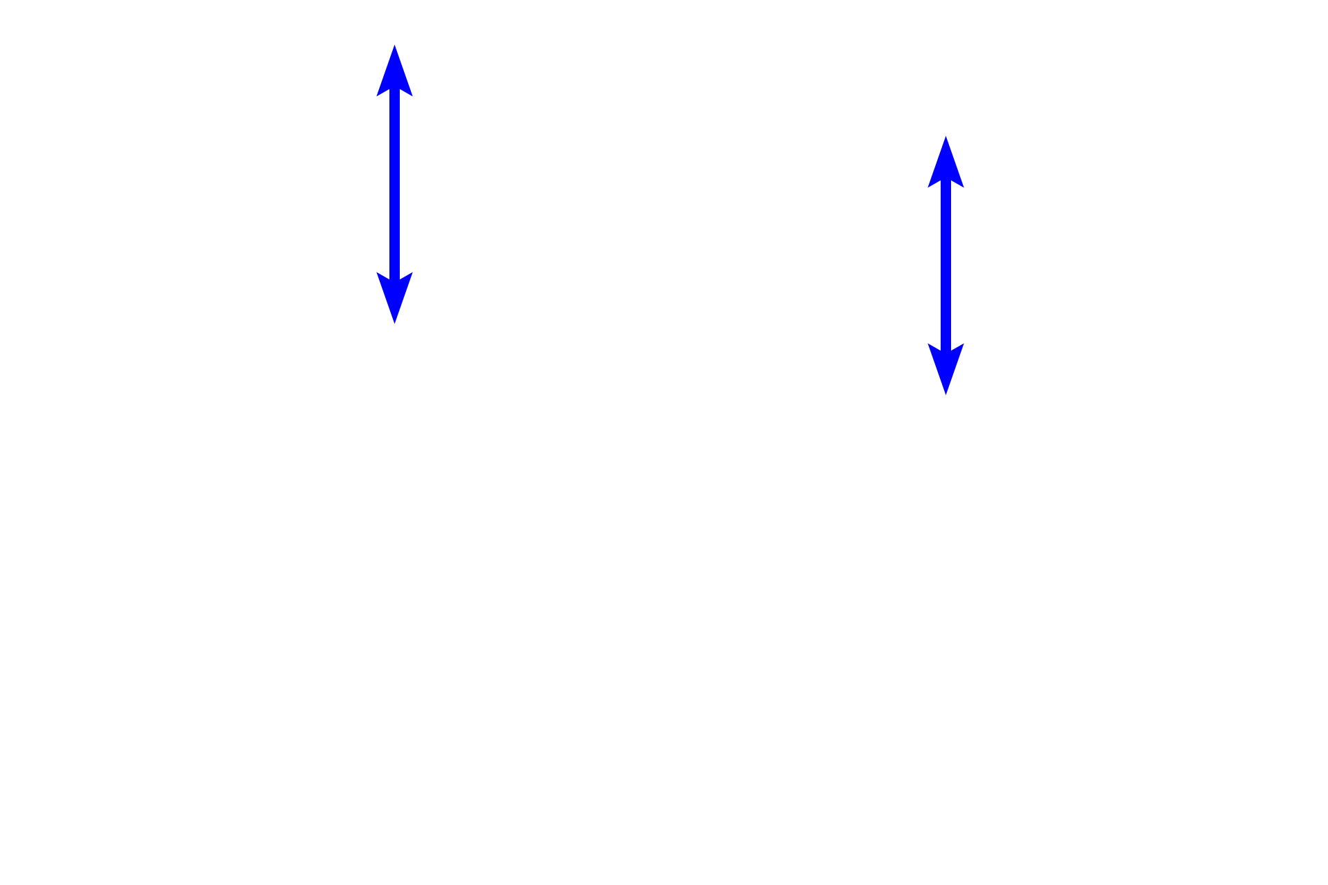 Stratum corneum <p>There is normally an abrupt transition between the stratum granulosum and the stratum corneum.  Stratum corneum consists of non-living keratinized cells or squames that consists of a cornified cell envelope surrounding a matrix of aggregated tonofibrils. These cells are continuously shed from the surface of the epidermis and are replenished through the upward migration and ongoing keratinization of epidermal keratinocytes.  The keratin matrix accounts for the strong eosinophilic staining seen in these cells.  400x</p>
