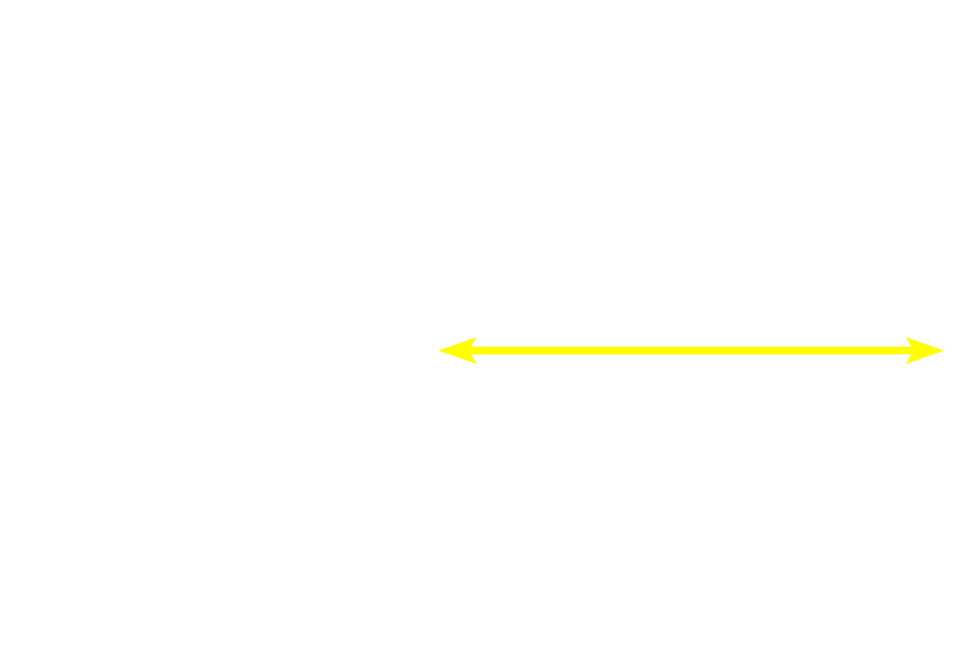  - Pars distalis <p>The adenohypophysis is derived from the epithelium that lines the roof of the developing oral cavity and consists of the pars distalis, pars tuberalis and pars intermedia.</p>
