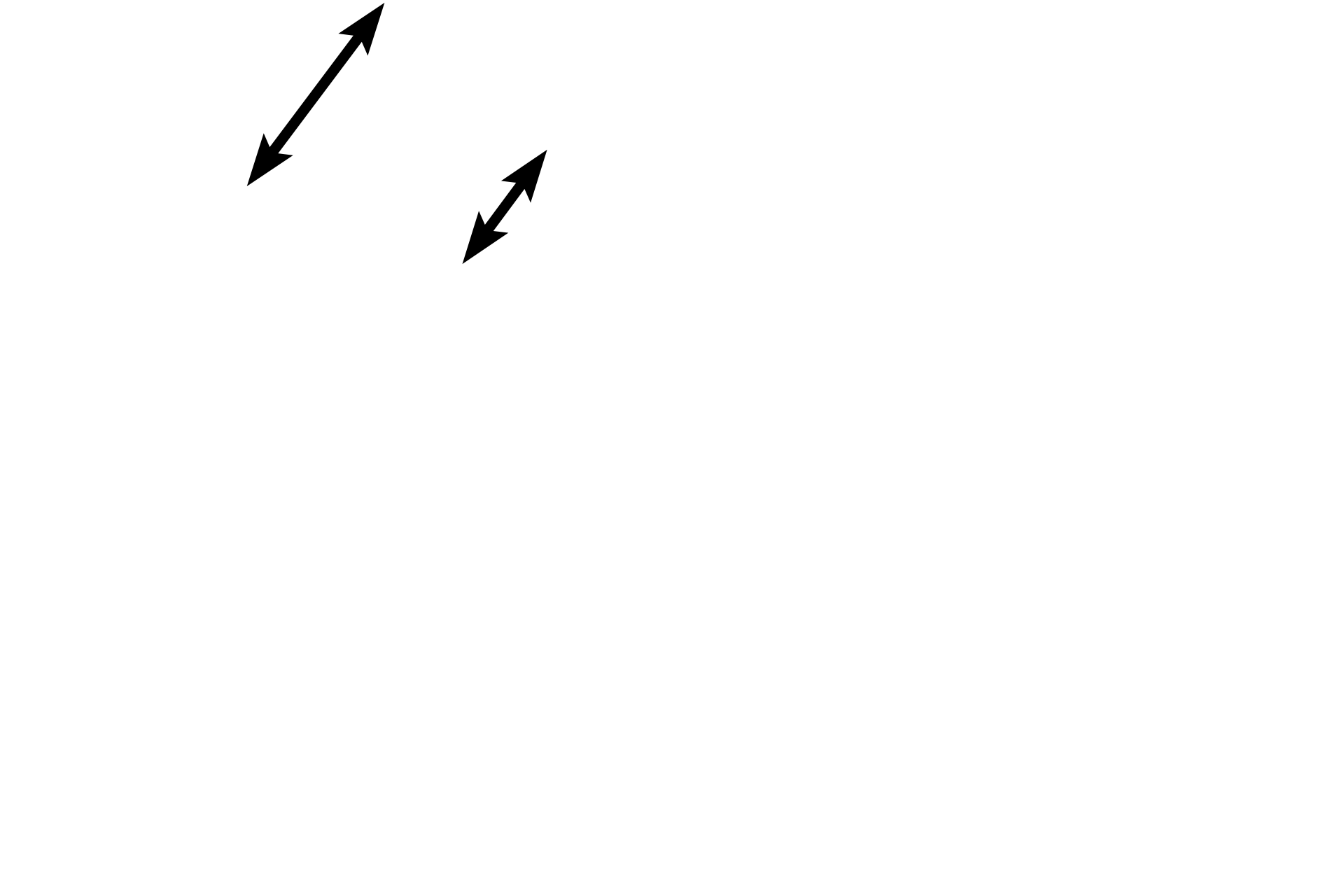  - Infundibulum <p>The neurohypophysis is derived from nervous tissue as a downgrowth from the hypothalamus of the brain and consists of the pars nervosa, the infundibulum and its continuation, the median eminence (not visible).</p>
