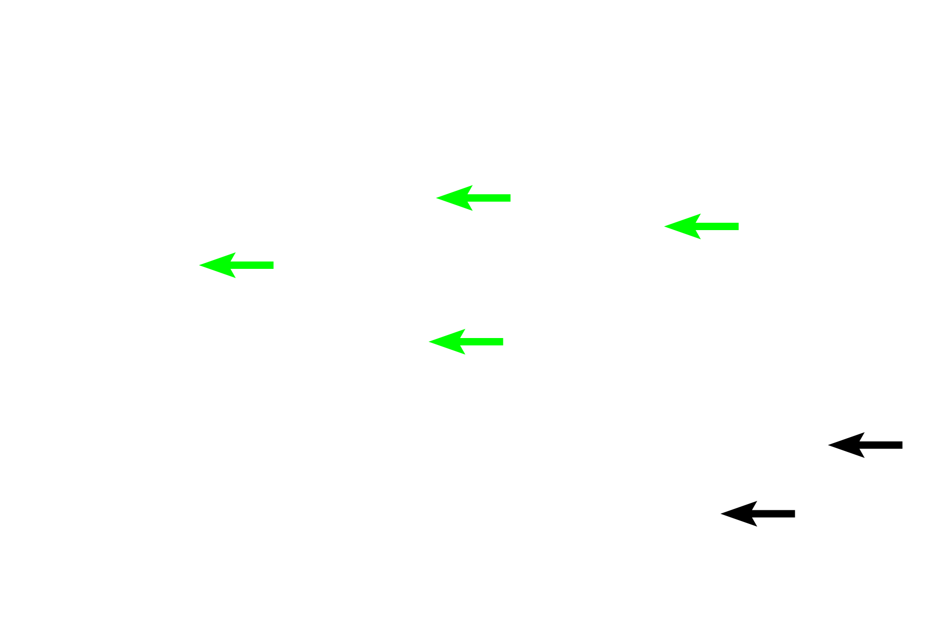  - Epithelium <p>The mucosa of the esophagus is lined with stratified squamous moist epithelium to protect the organ from the partially digested food. Mucous glands are located in the lamina propria in some regions, particularly near the gastro-esophageal junction and sometimes in the upper third. The muscularis mucosae is limited or absent in the upper third, but forms a developed layer in the lower two-thirds of the esophagus.</p>
