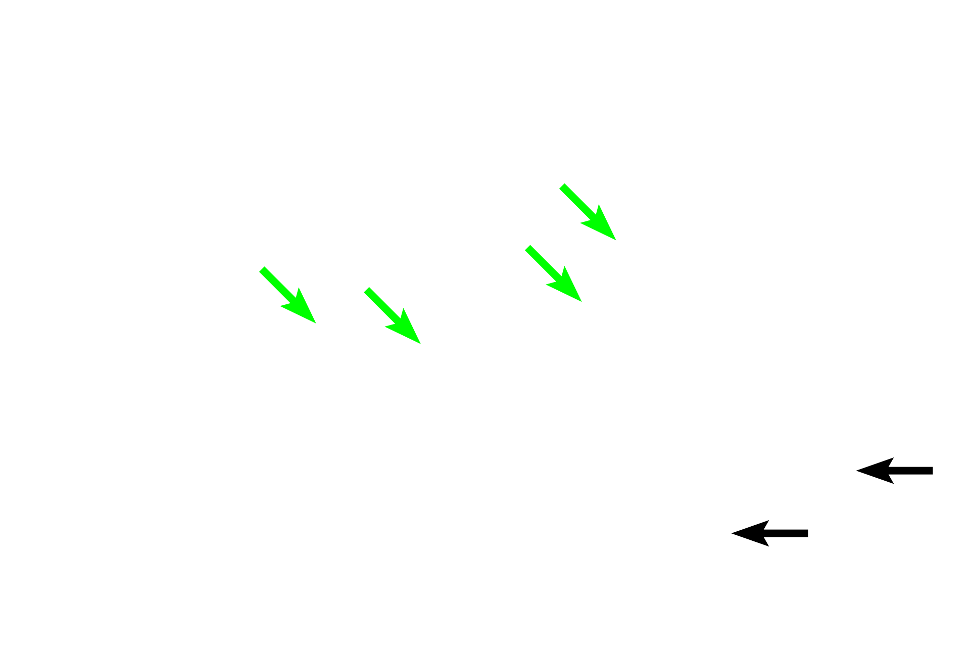  - Lamina propria <p>The mucosa of the esophagus is lined with stratified squamous moist epithelium to protect the organ from the partially digested food. Mucous glands are located in the lamina propria in some regions, particularly near the gastro-esophageal junction and sometimes in the upper third. The muscularis mucosae is limited or absent in the upper third, but forms a developed layer in the lower two-thirds of the esophagus.</p>

