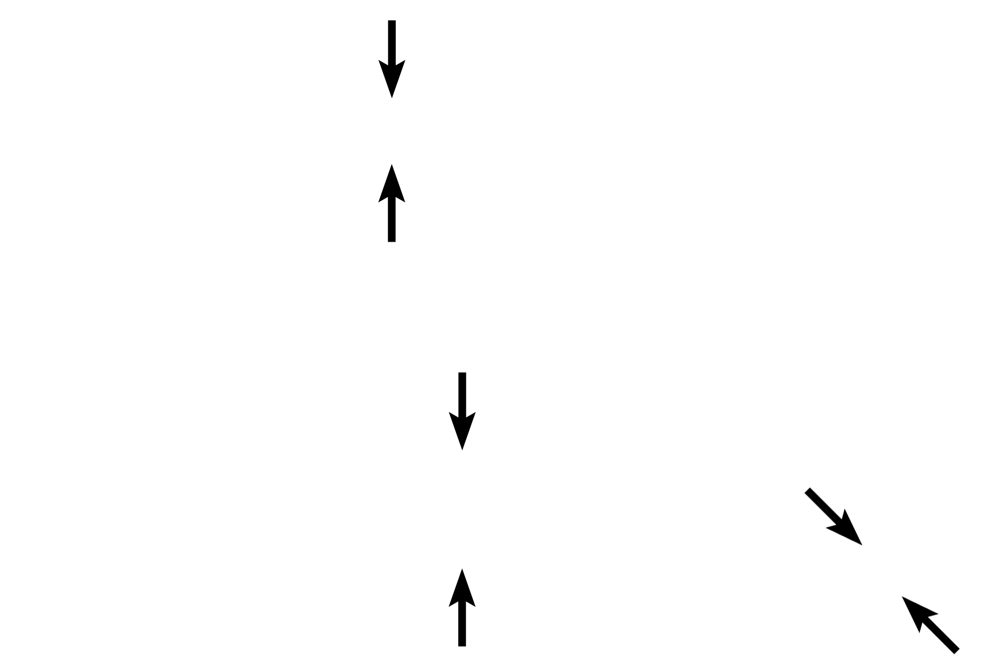 Muscularis externa > <p>The muscularis externa is the dominant prominent main muscle layer and is formed of inner circular outer longitudinal  layers. Because swallowing is a voluntary action, the muscularis externa in the upper one-third of the esophagus is composed of skeletal muscle.  Both skeletal and smooth muscle are located in the muscularis externa in the middle third (shown here), and only smooth muscle is present in this tunic in the lower one-third. The myenteric plexus (Auerbach’s plexus), a component of the autonomic nervous system, is located between the muscle layers and innervates the muscle.  </p>
