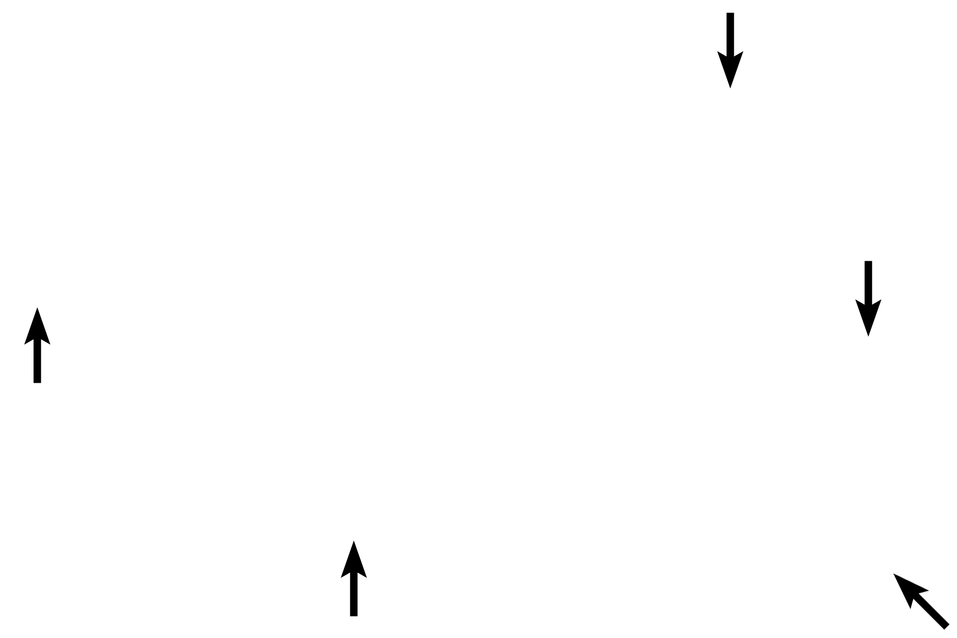Adventitia > <p>For most of its length, the esophagus is attached to the posterior body wall and does not protrude into the thoracic cavity. Thus the outer tunic is an adventitia of connective tissue. After entering the abdominal cavity, the esophagus is covered by a serousa of visceral peritoneum.</p>
