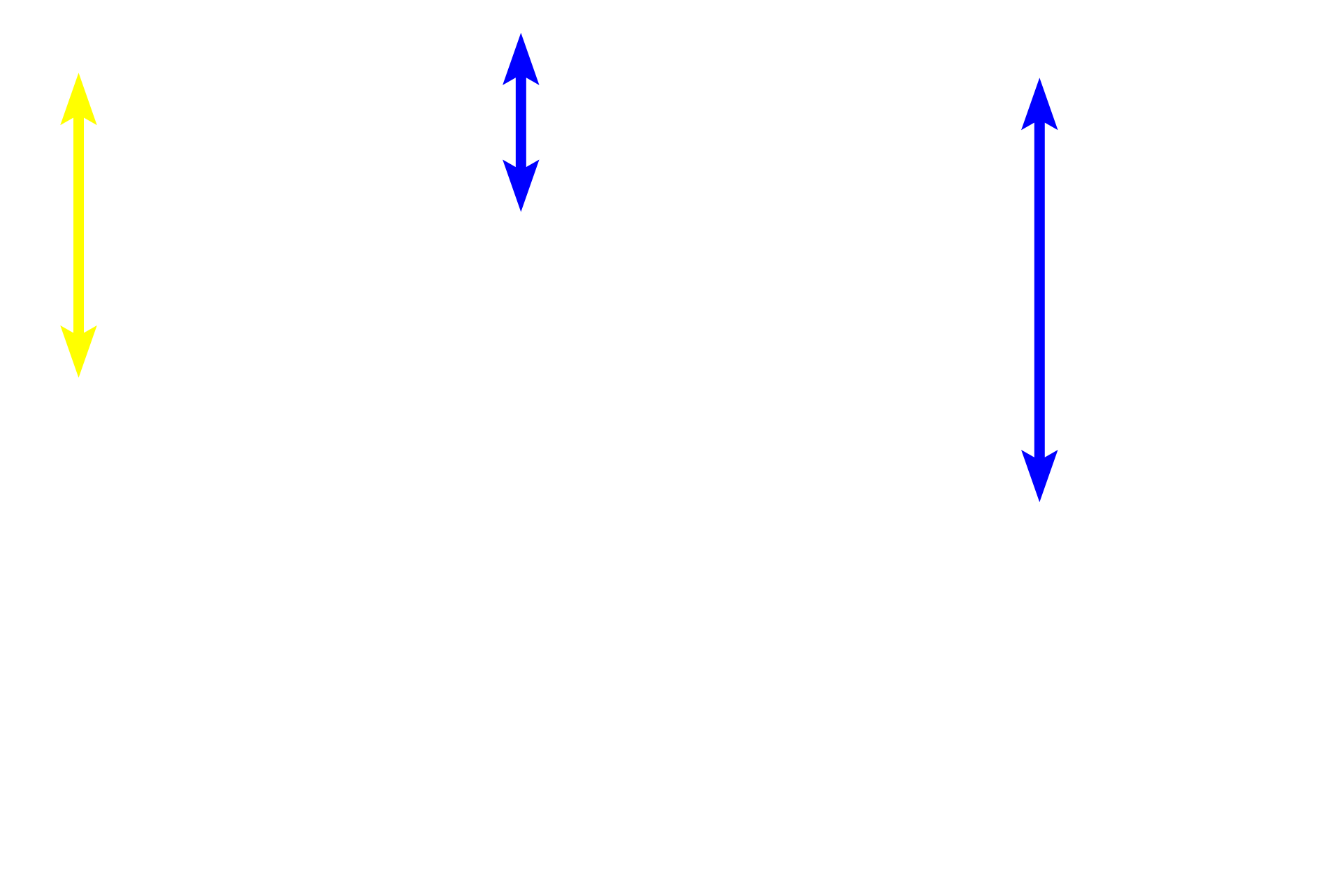 Pits <p>The three regions of the stomach can be distinguished by the ratio of the length of the gastric pits to the length of the gastric glands.  In the cardiac region (left), pits and glands are roughly equal in length; in the body and fundic regions (middle), the pits are much shorter than the glands; in the pyloric region, the pits are longer than the glands (right). 100x</p>
