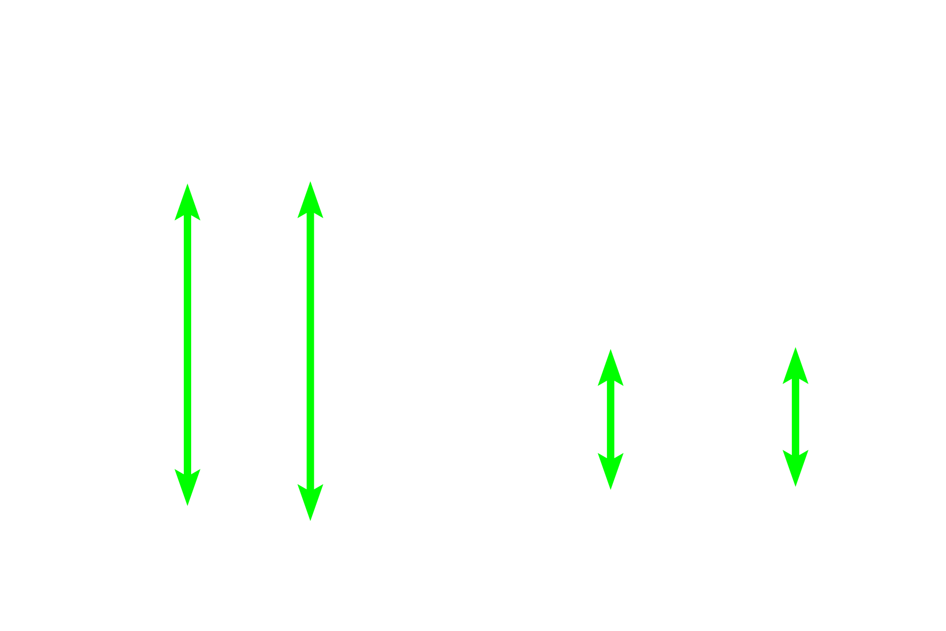 Gastric glands <p>A comparison of gastric glands of the fundus/body (left) and the pyloric regions (right) demonstrates the variation in ratio of gastric pits to gastric glands in these regions.  In the fundus, gastric pits are about a quarter the length of the glands.  In the pylorus, gastric pits are longer than the glands.  40x</p>
