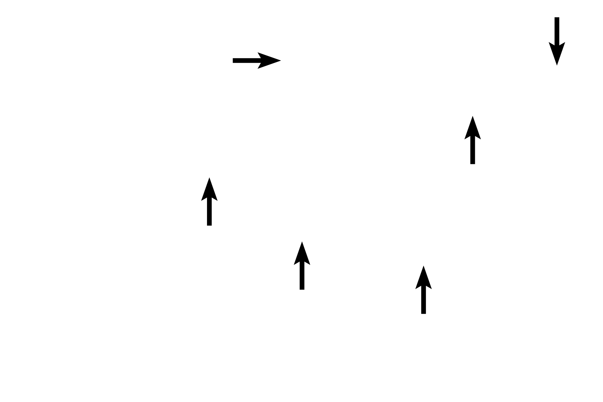  - Villi > <p>Villi are finger-like projections from the surface of the small intestine into the lumen of the organ.  Villi are composed of a central core of lamina propria covered by the intestinal  epithelium.  The presence of villi are diagnostic for the small intestine.</p>
