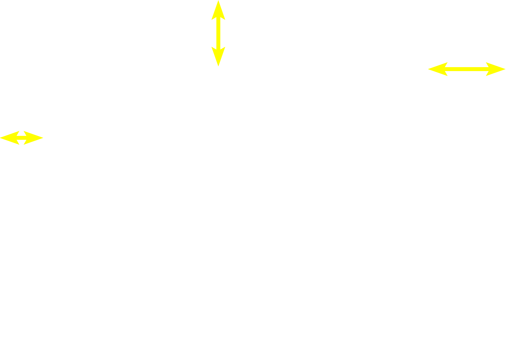 Mucosa <p>The submucosa consists of dense, irregular connective tissue containing larger blood vessels, nerves and lymphatics. In addition, the submucosa also contains the submucosal (Meissner’s) plexus which innervates the smooth muscle of the muscularis mucosae and regulates glandular secretions.  200x</p>

