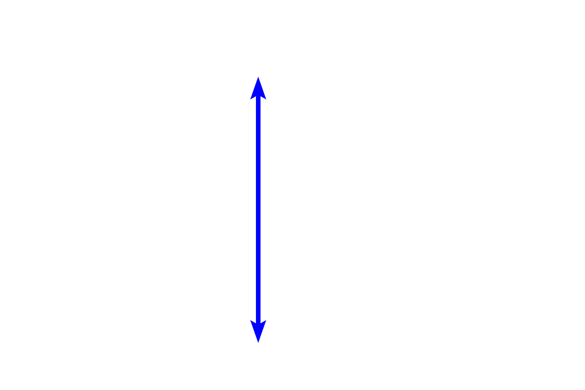 Submucosa <p>The submucosa consists of dense, irregular connective tissue containing larger blood vessels, nerves and lymphatics. In addition, the submucosa also contains the submucosal (Meissner’s) plexus which innervates the smooth muscle of the muscularis mucosae and regulates glandular secretions.  200x</p>
