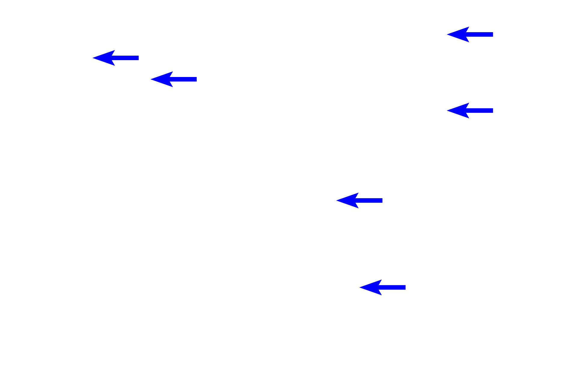  - Blood vessels <p>The submucosa consists of dense, irregular connective tissue containing larger blood vessels, nerves and lymphatics. In addition, the submucosa also contains the submucosal (Meissner’s) plexus which innervates the smooth muscle of the muscularis mucosae and regulates glandular secretions.  200x</p>

