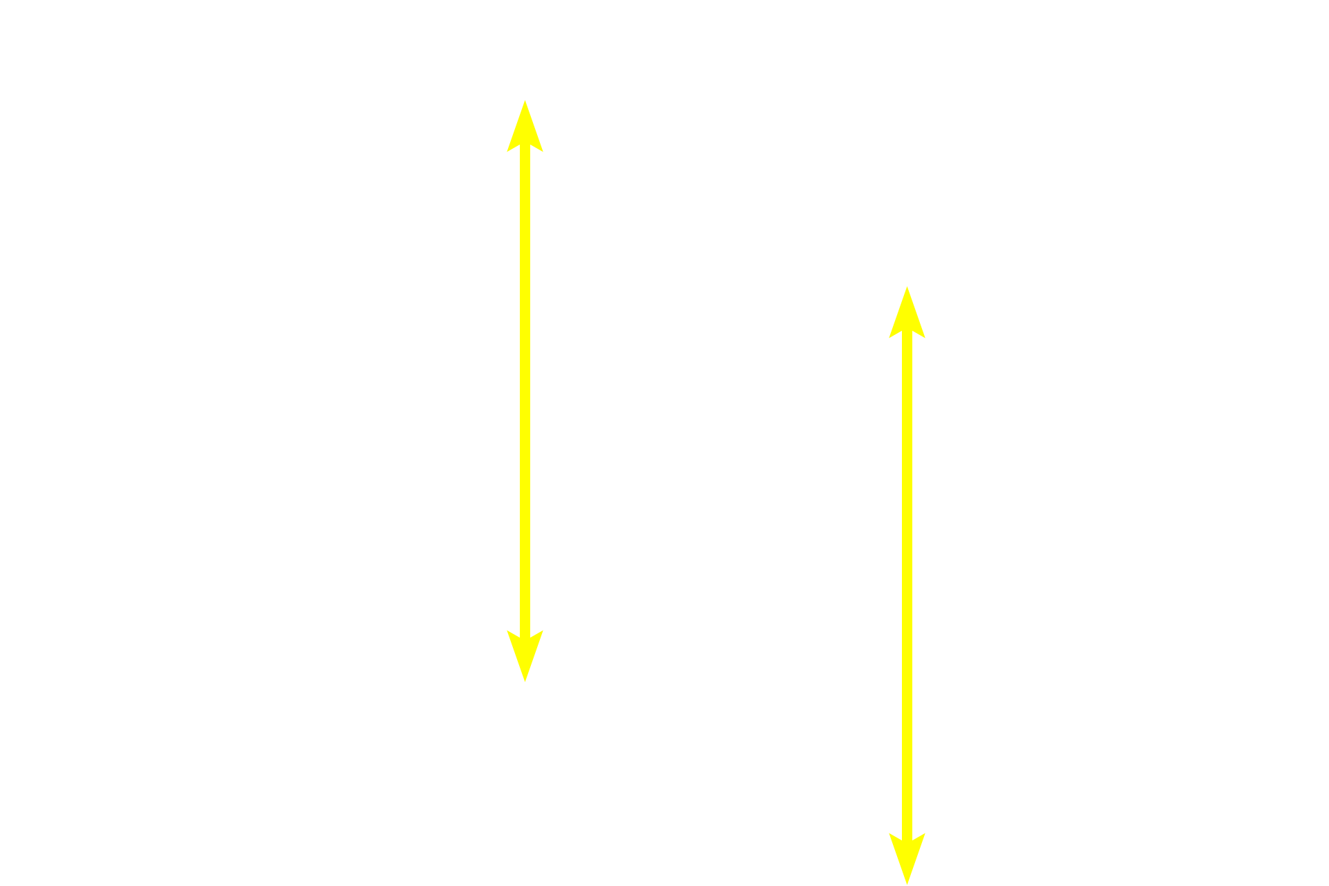 Submucosa <p>The submucosal plexus is the smaller component of the enteric nervous system and its ganglia are located near the mucosa as well as adjacent to the inner layer of the muscularis externa.   </p>
